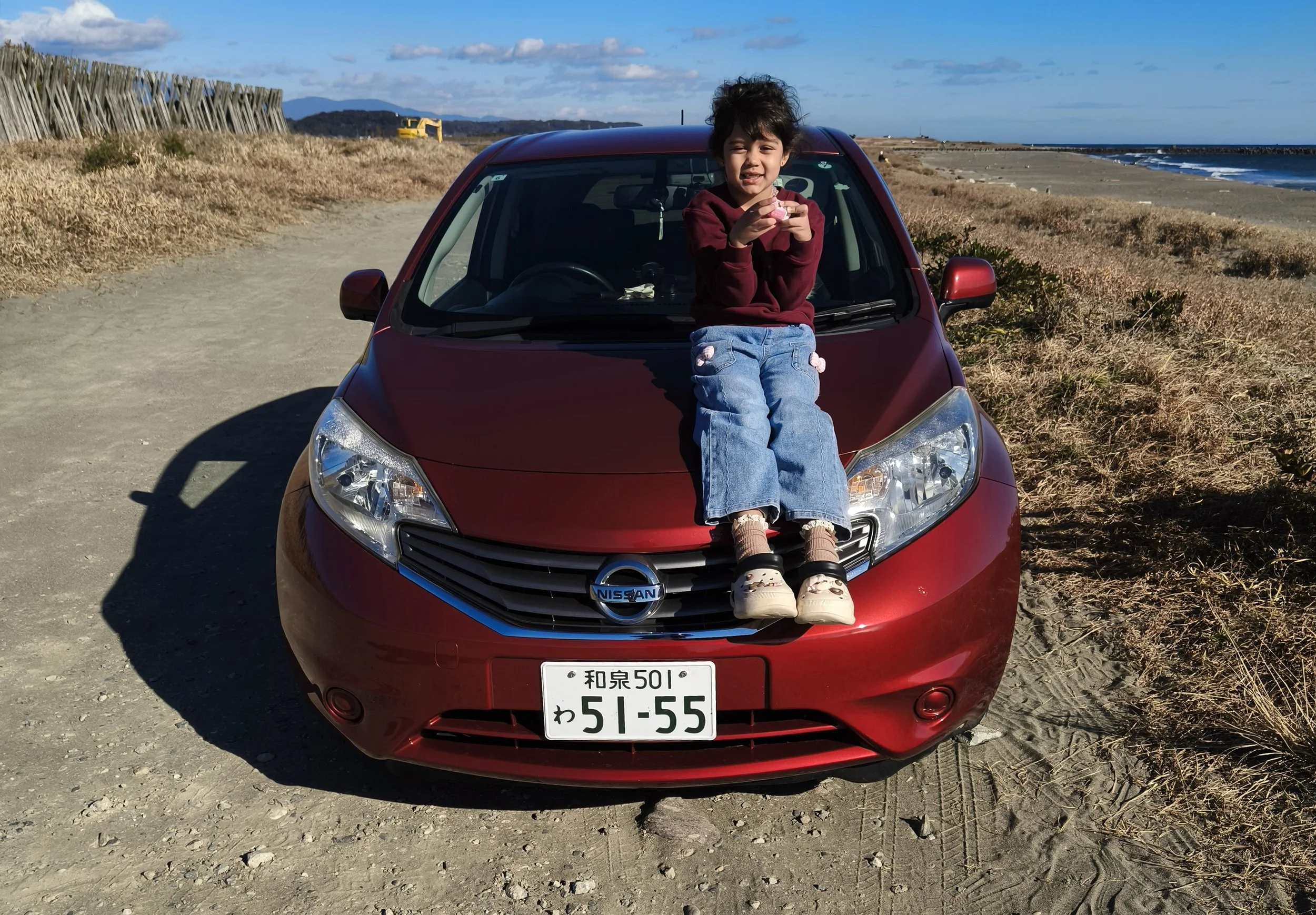 Shimotonda Sadowaracho Birding Ponds Miyazaki Kyushu Japan (138).jpg