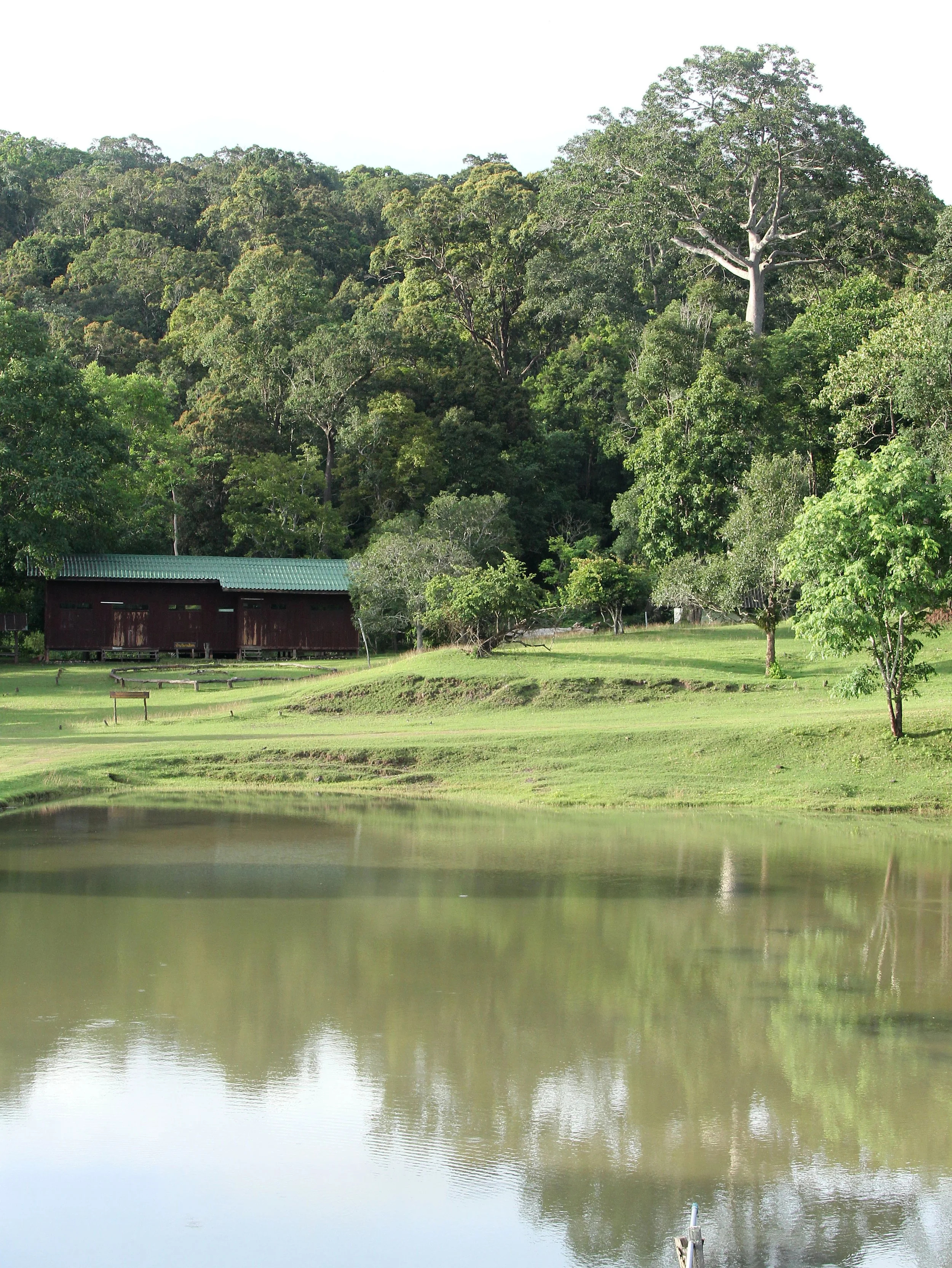 2017 Phu Khieo Wildlife Sanctuary  (6).JPG
