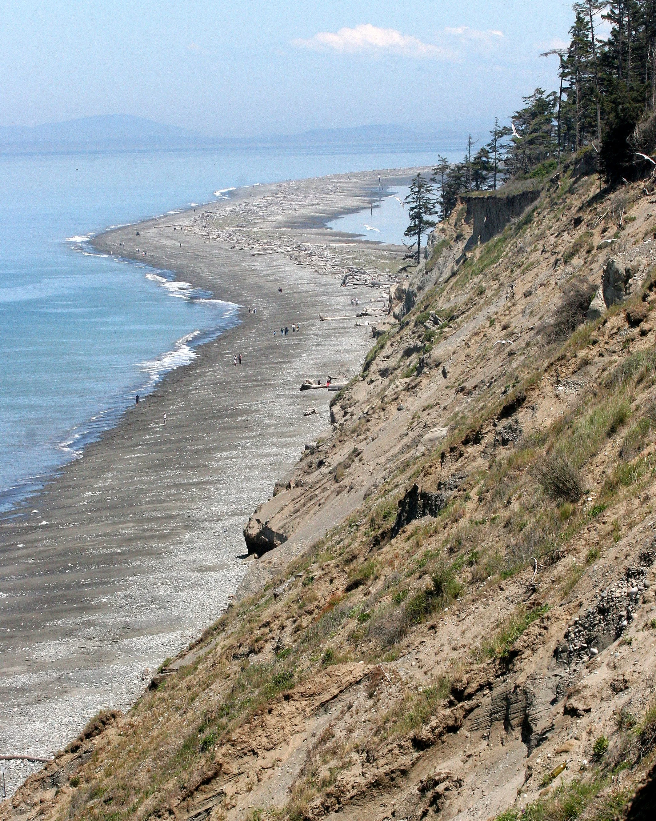 DUNGENESS SPIT (5).JPG