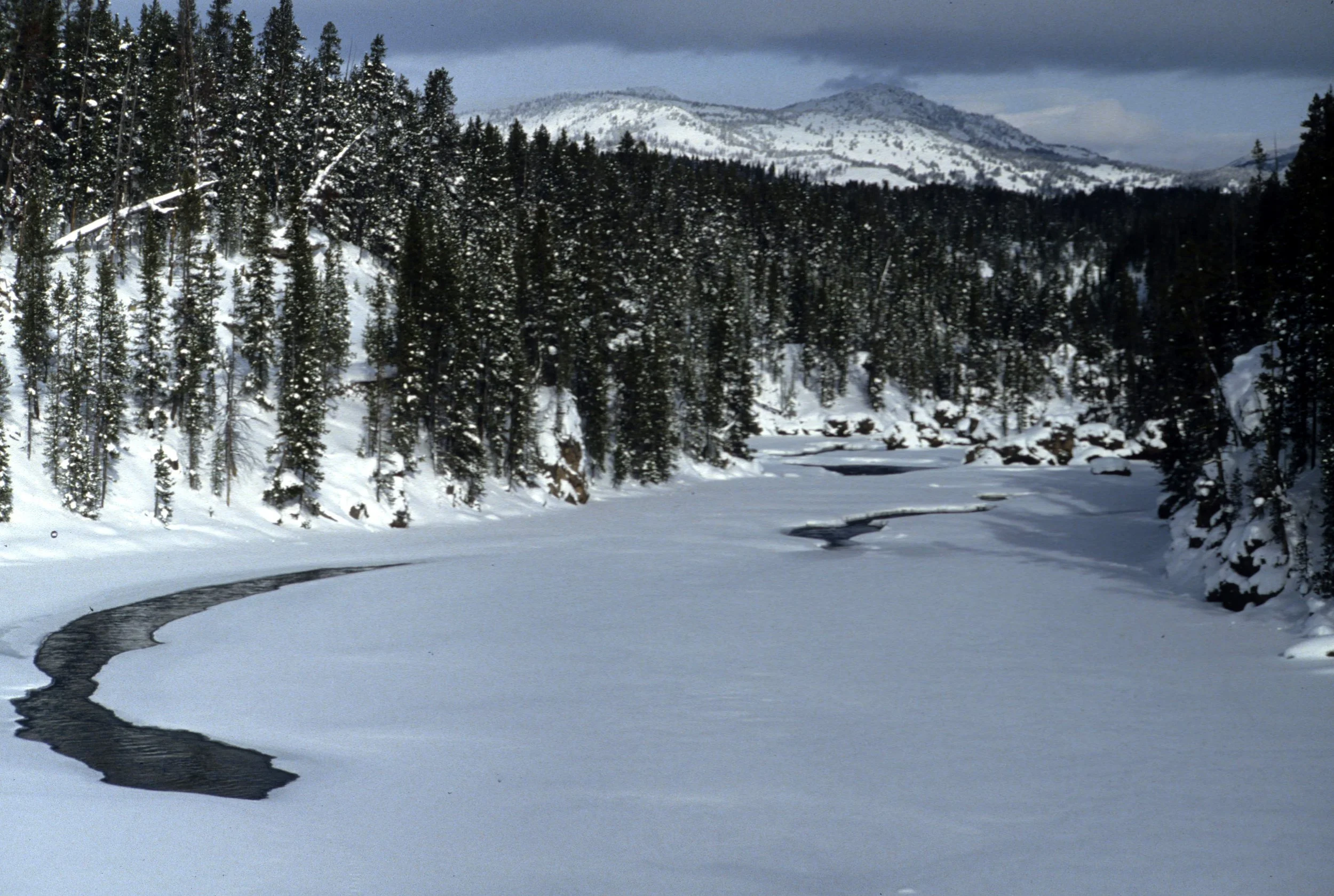 YELLOWSTONE IN WINTER D.jpg