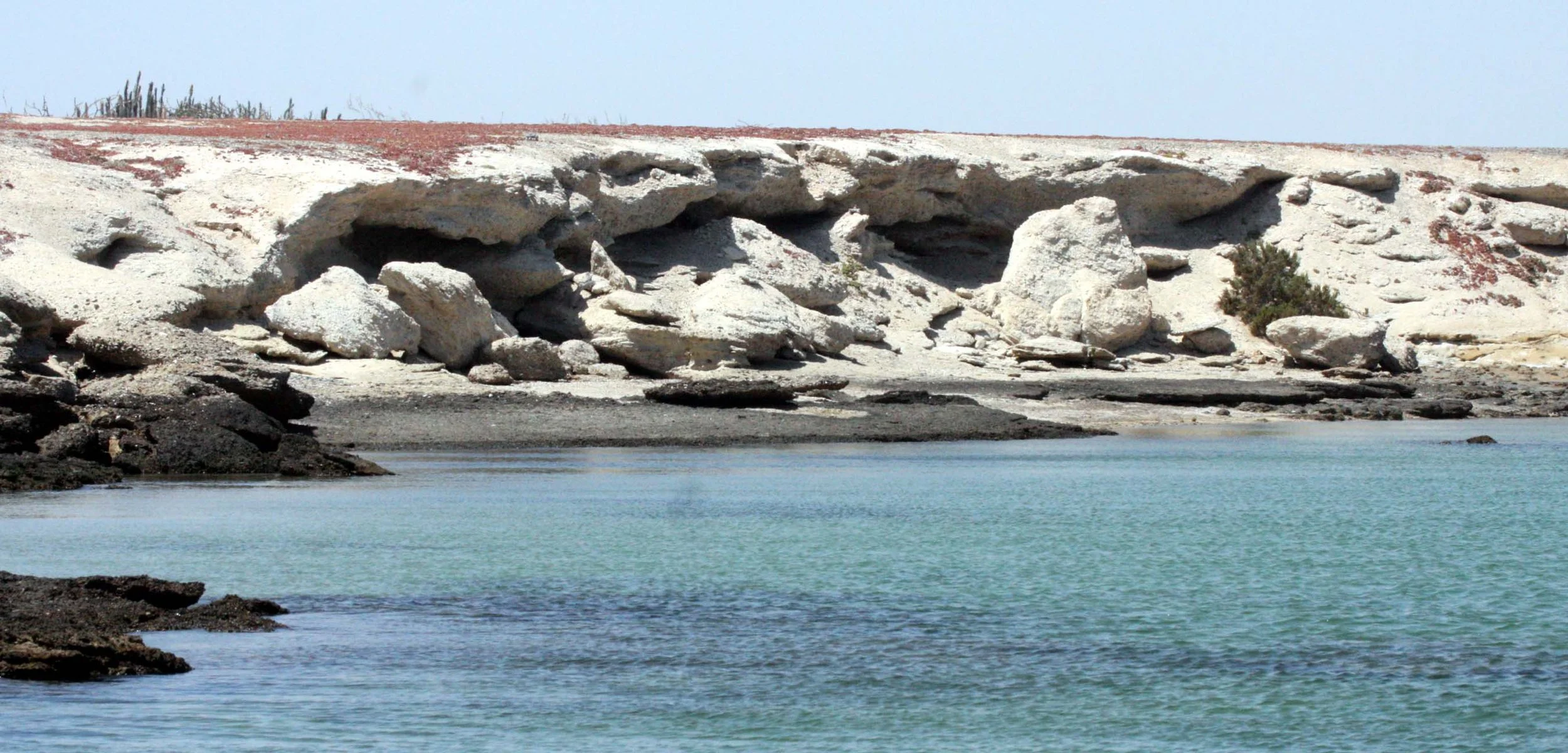 SAN IGNACIO LAGOON BAJA MEXICO - OSPREY ISLAND.JPG