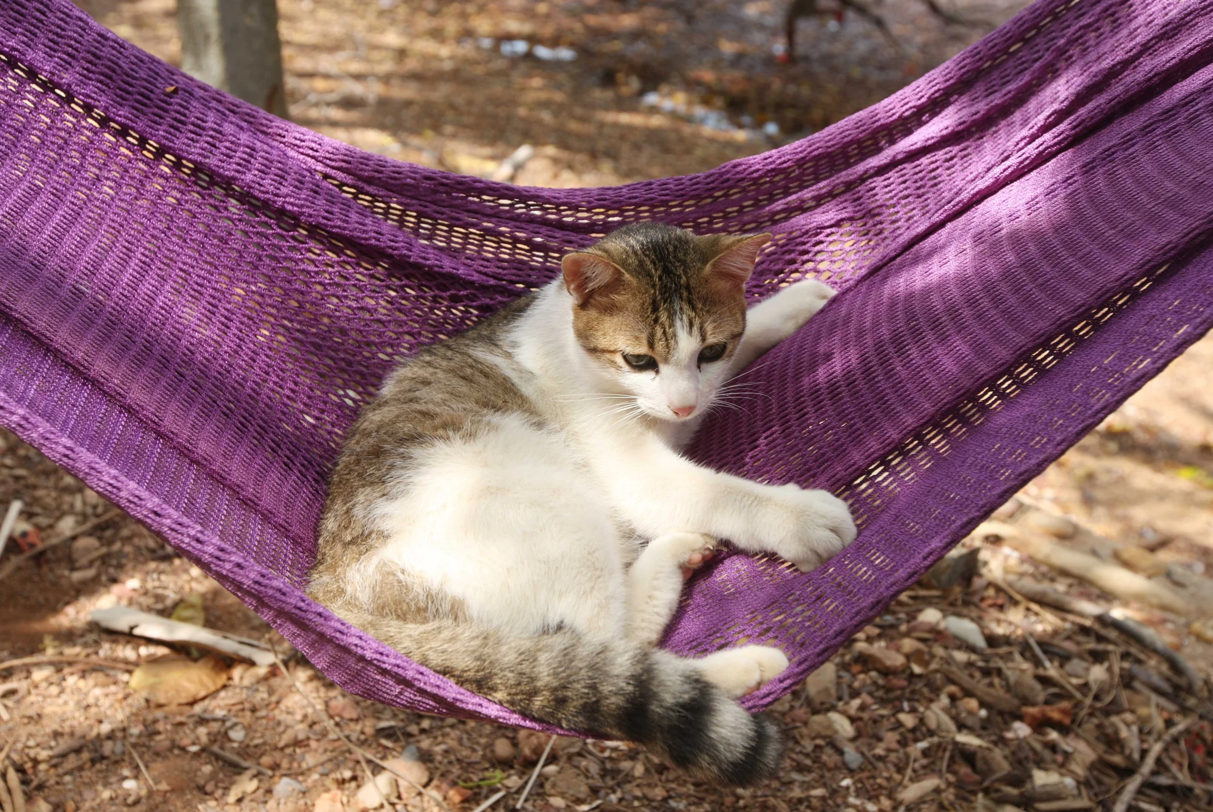 2015 Koh Lanta Songkran with friends from ISB (75).JPG