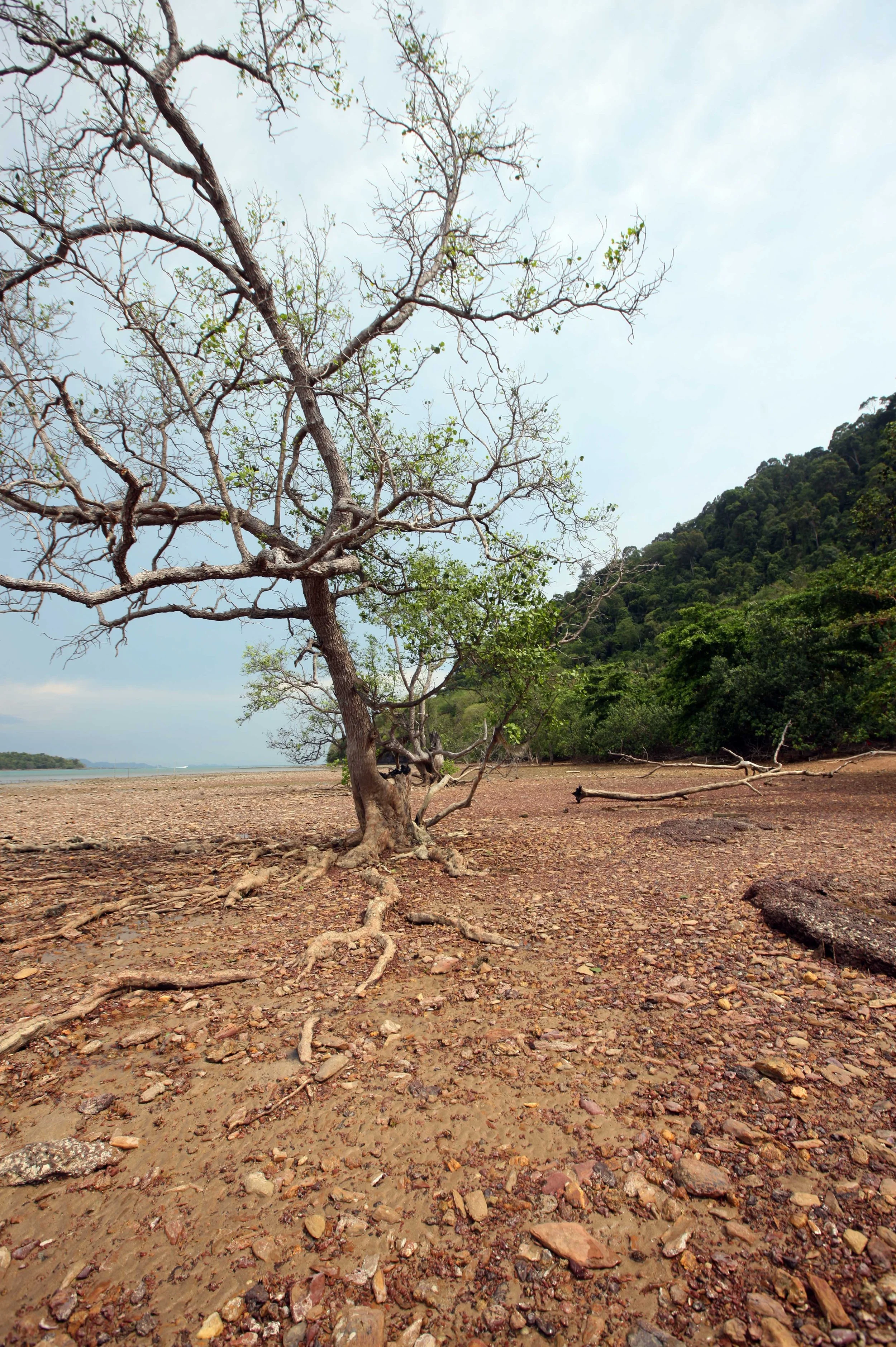 2015 Koh Lanta Songkran with friends from ISB (93).JPG