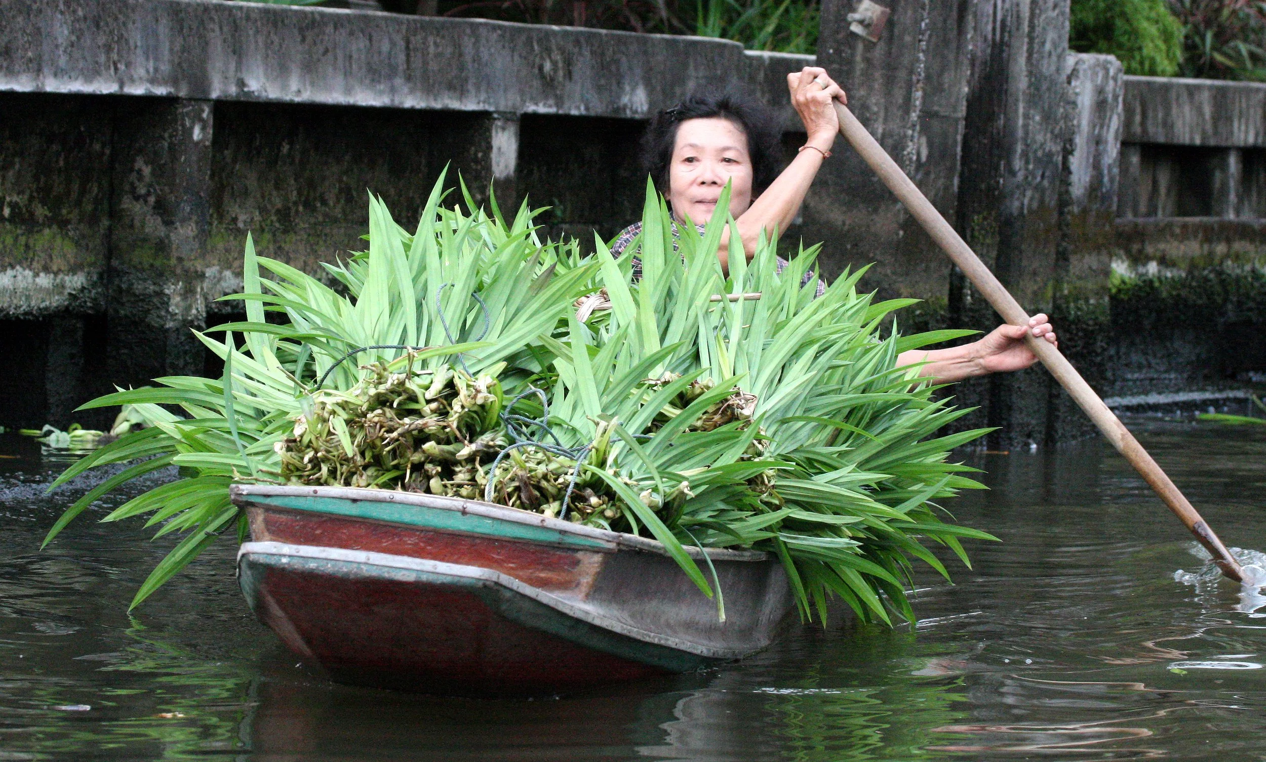 2008 Bangkok Scenes & Thonburi Canals (36).JPG