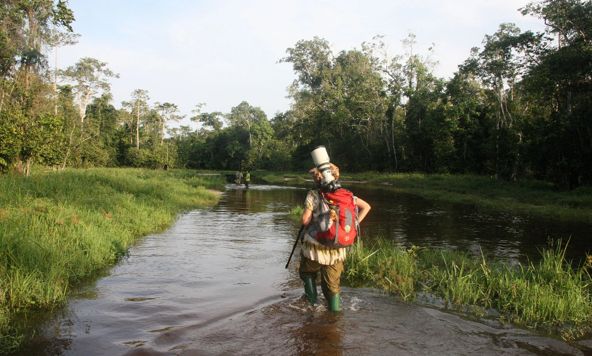 DZANGHA NDOKI NATIONAL PARK - CENTRAL AFRICAN REPUBLIC (18).JPG