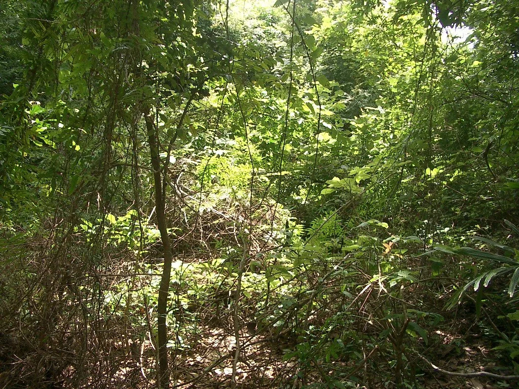 KOH LANTA - PROPERTY - 2004 (98).JPG