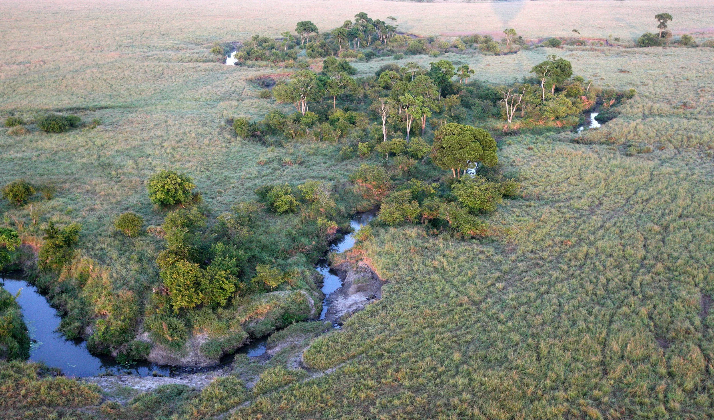 MASAI MARA NATIONAL PARK KENYA (93).JPG