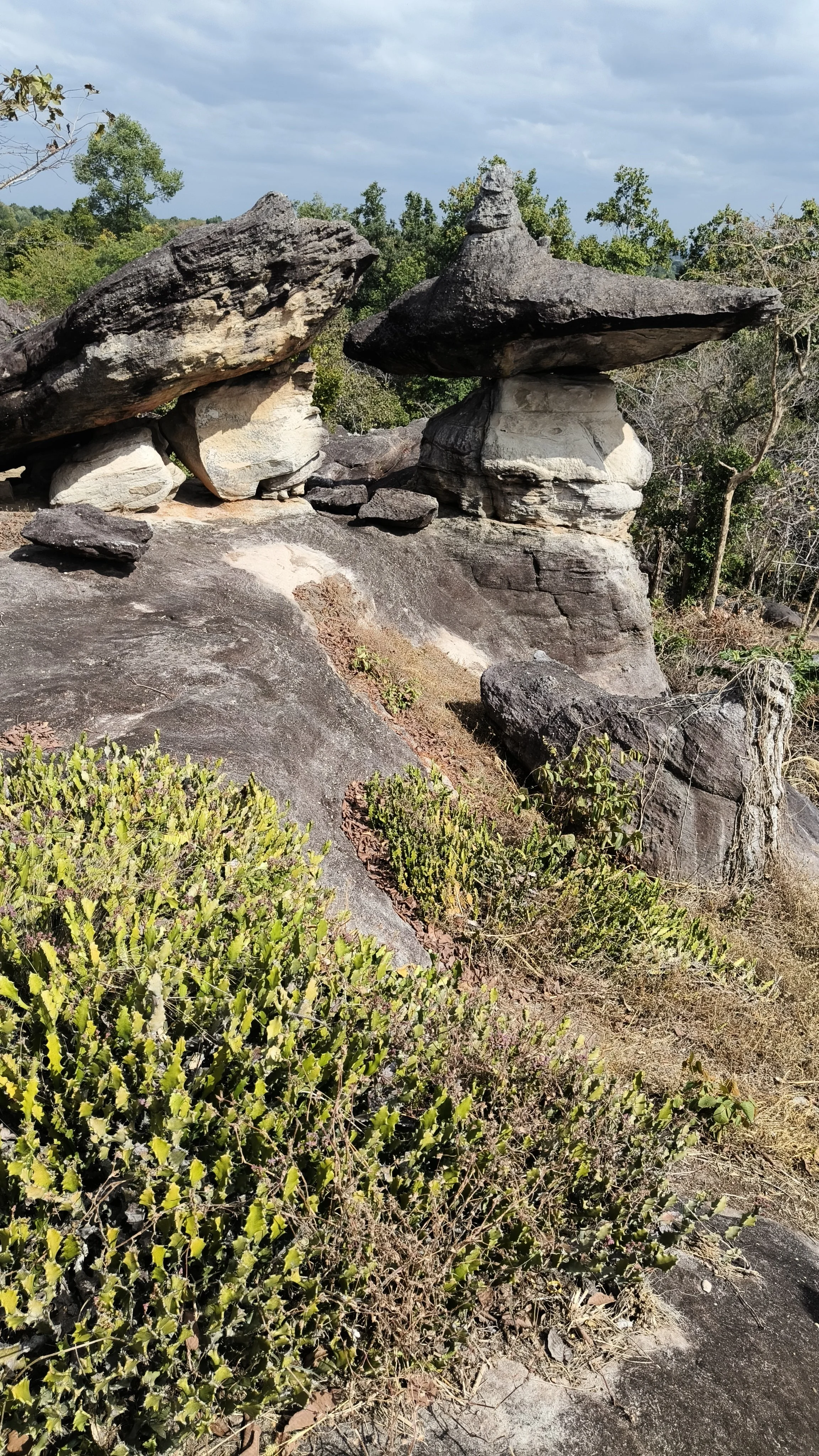  Phu Pha Thoep National Park - Mukdahan Thailand (71).jpg