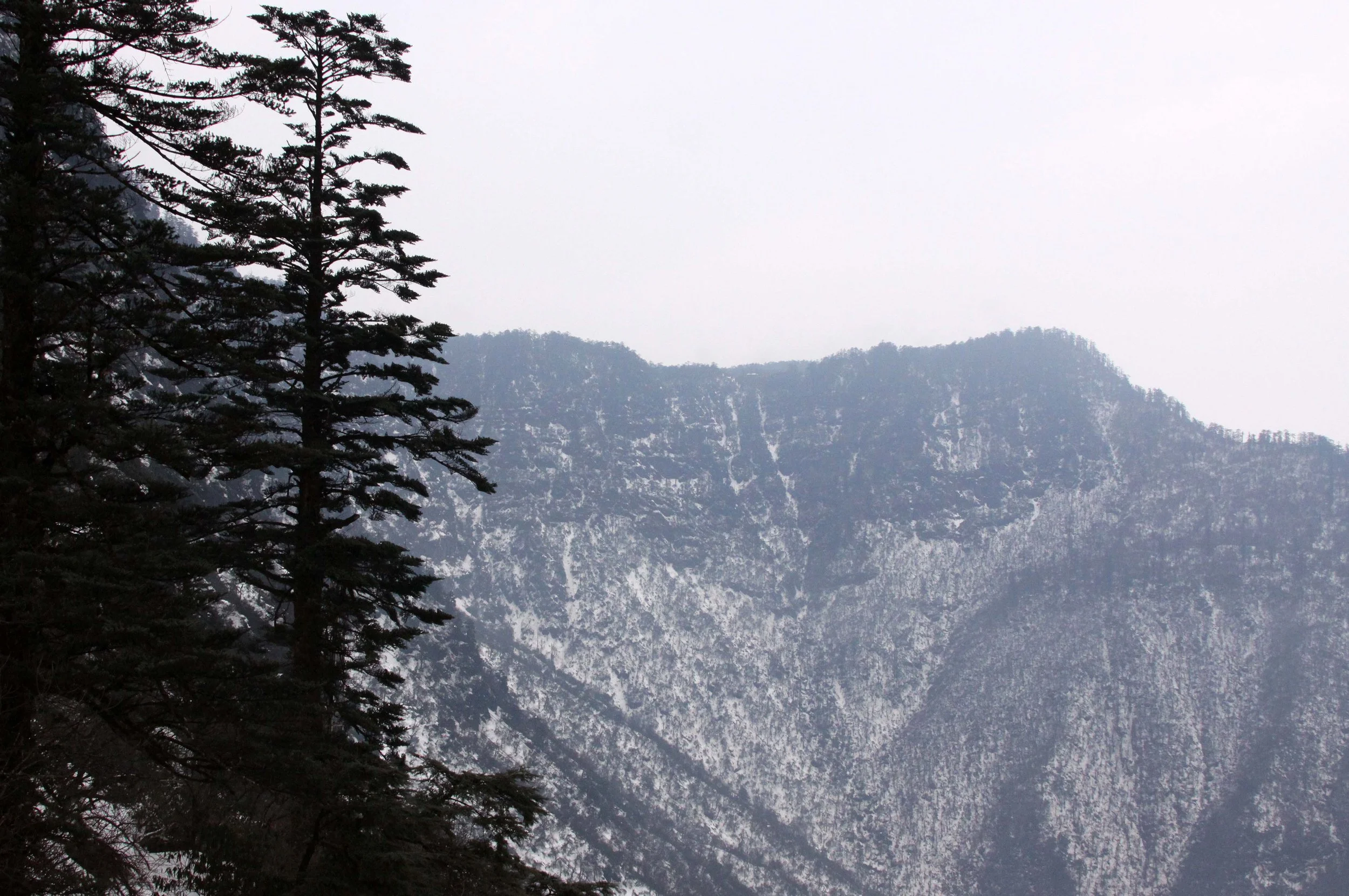 WAWU SHAN GEOPARK - SICHUAN CHINA (11).JPG