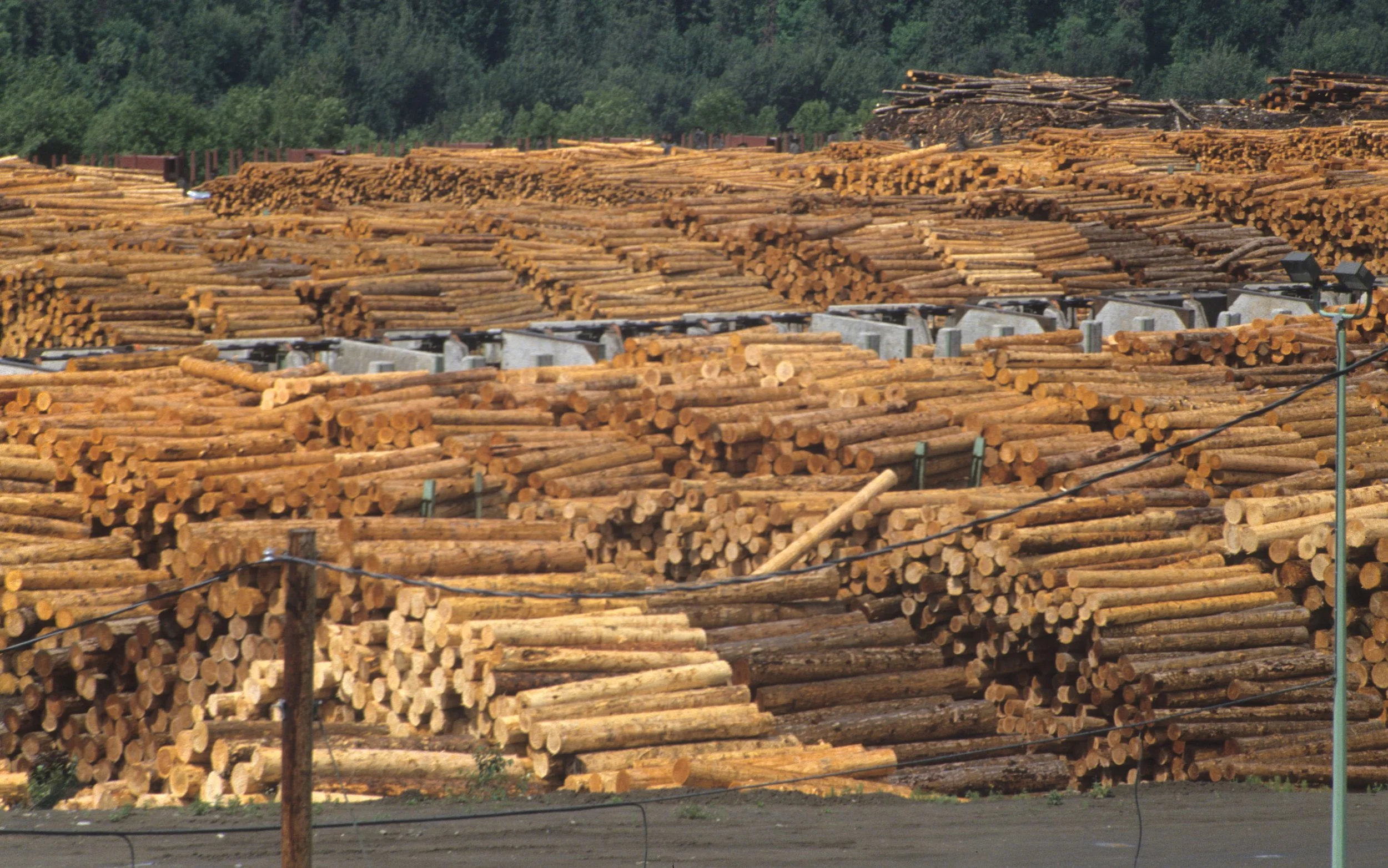 BRITISH COLUMBIA - FOREST DEPOT.jpg