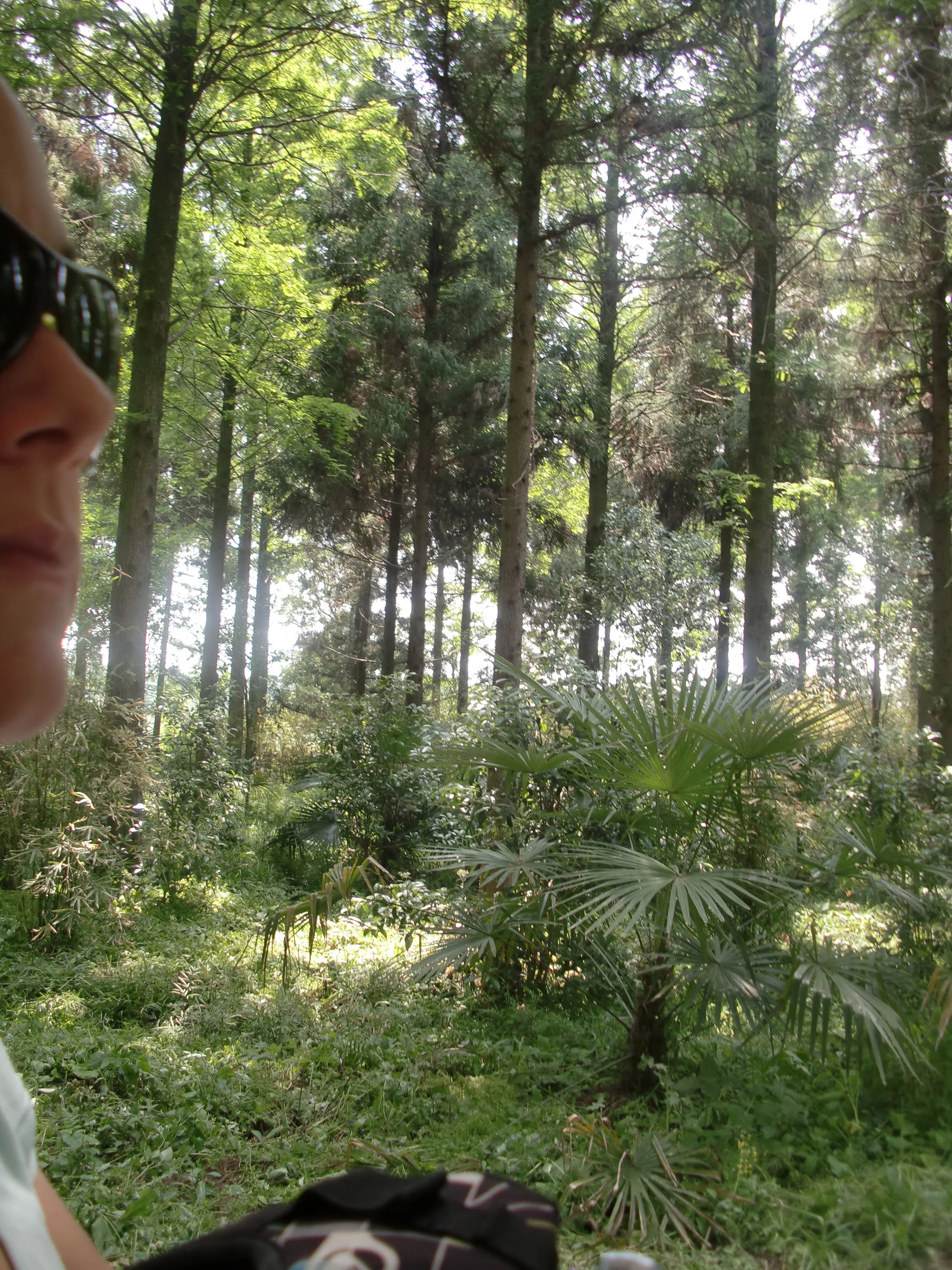 2011-5-17 COKIE'S FIELD TRIP TO CHONGMING ISLAND - COKIES IMAGES ALL (18).JPG