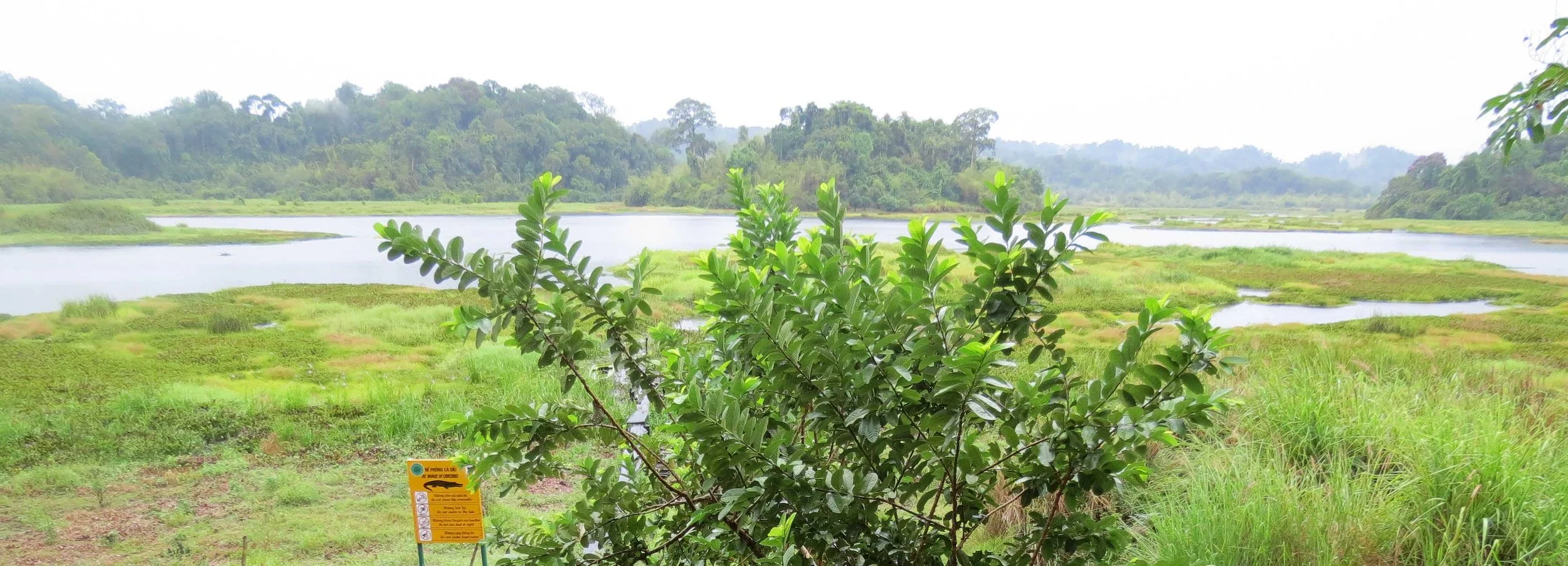 CAT TIEN NATIONAL PARK VIET NAM (108).JPG