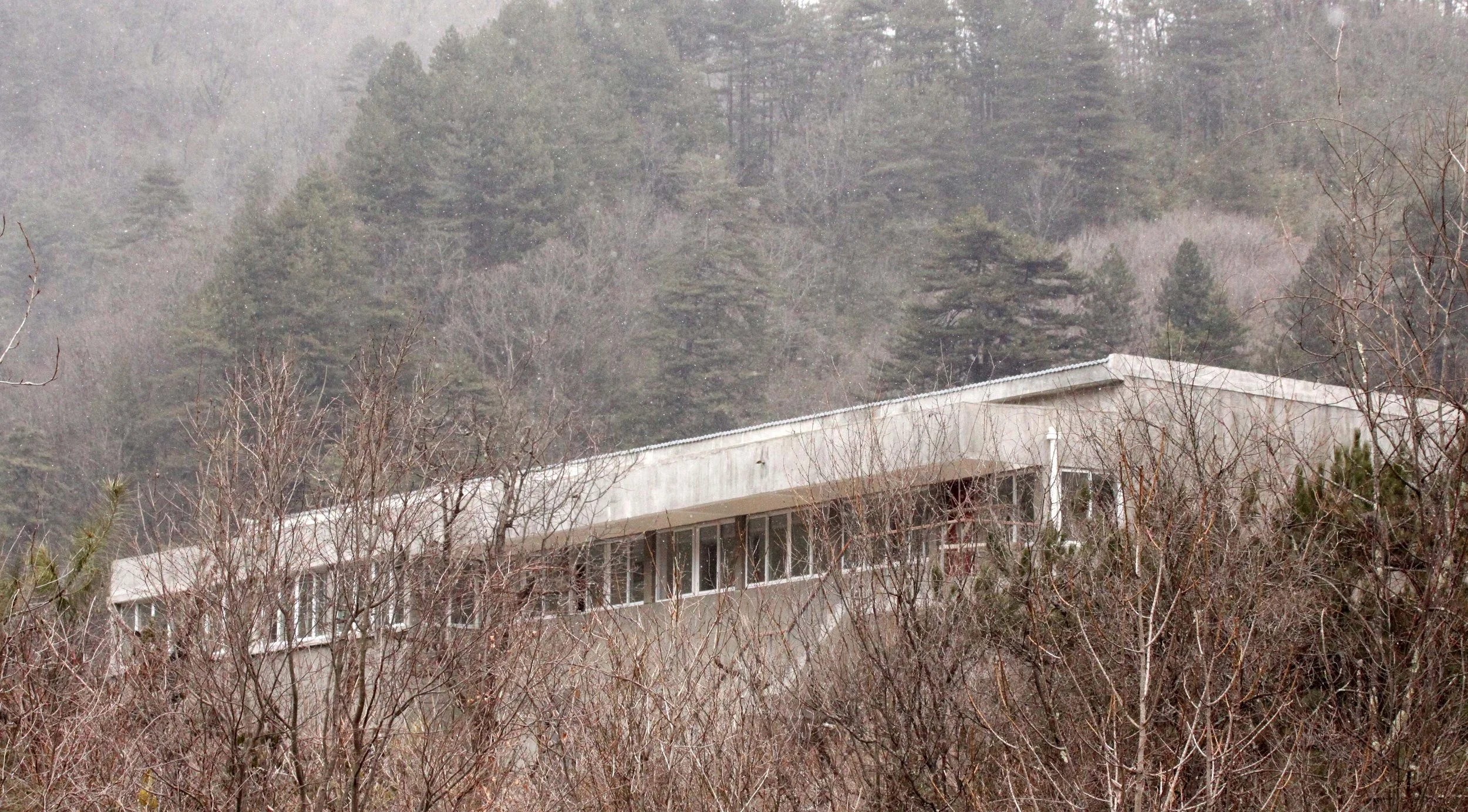 FOPING NATURE RESERVE - SHAANXI PROVINCE CHINA.JPG