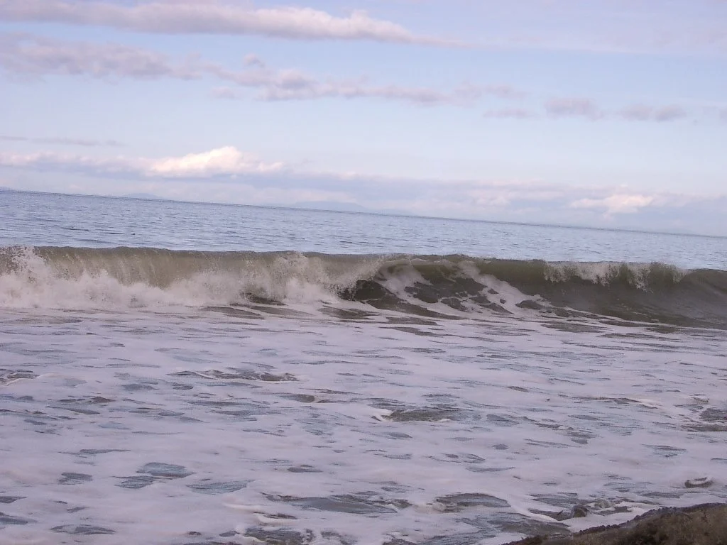 2004-3-12 LAKE FARM DAY AT THE BEACH.JPG