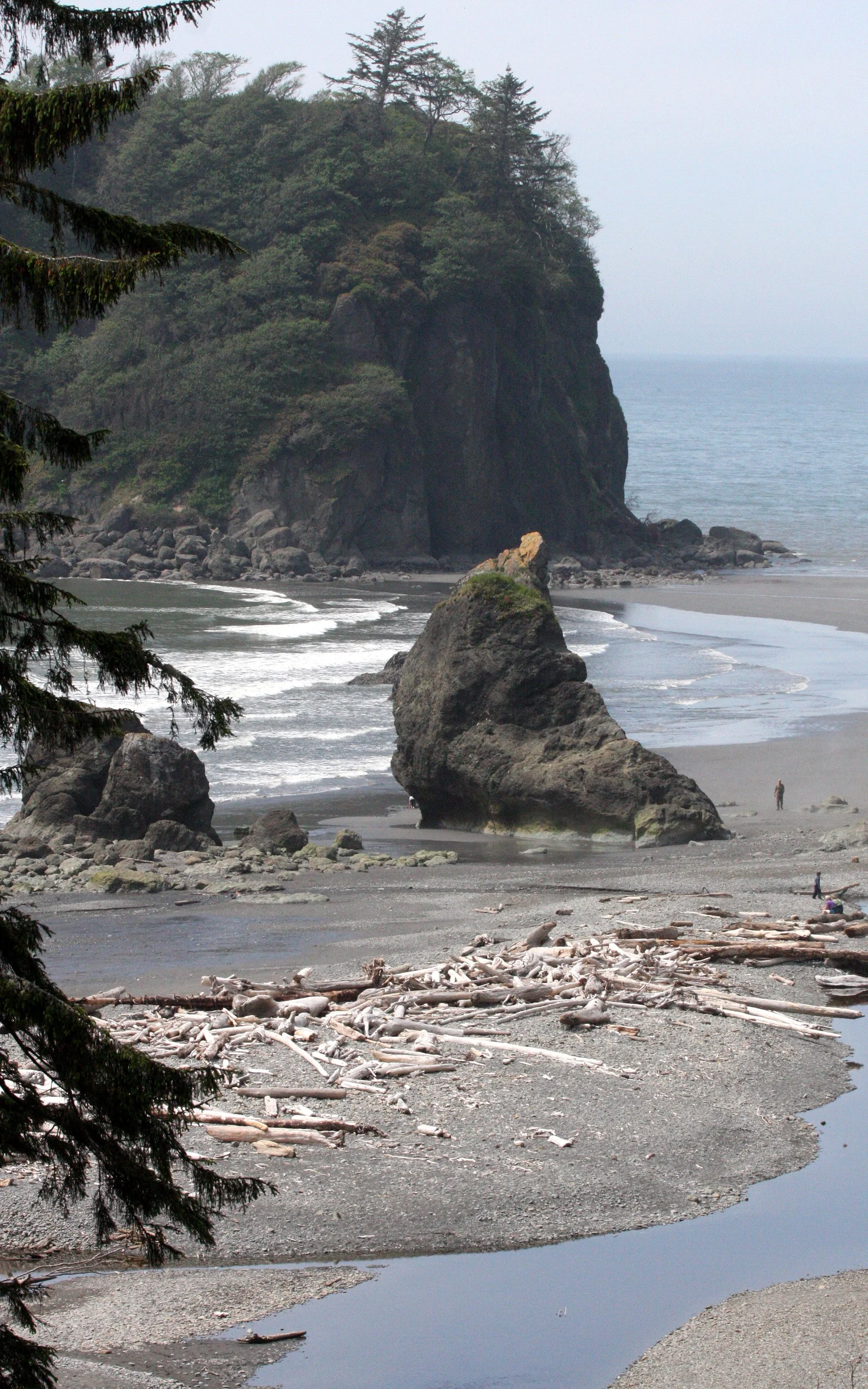 RUBY BEACH SEA STACKS - ONP.JPG