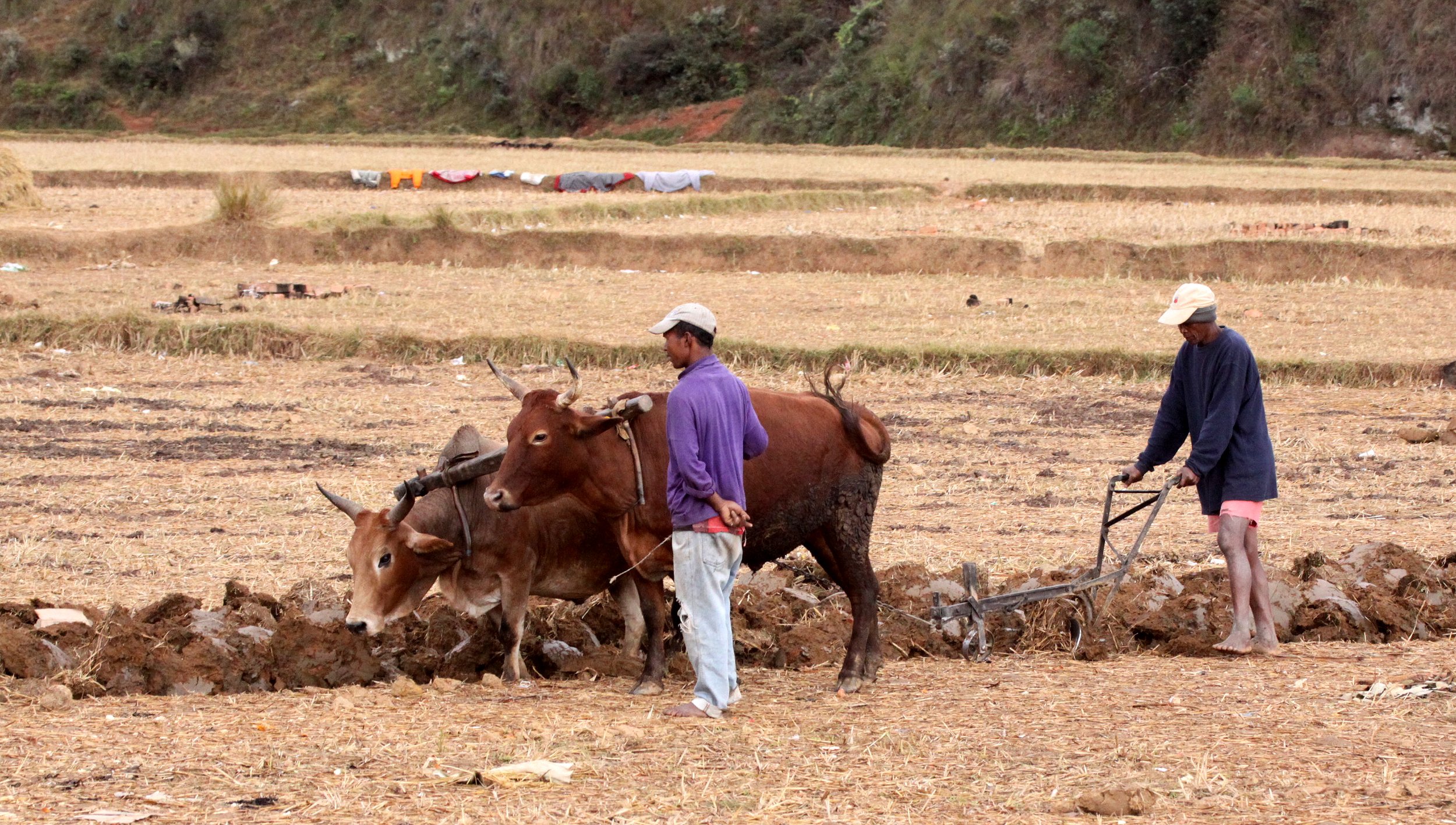 CENTRAL HIGHLANDS - ROAD TO RANOMAFANA (11).JPG