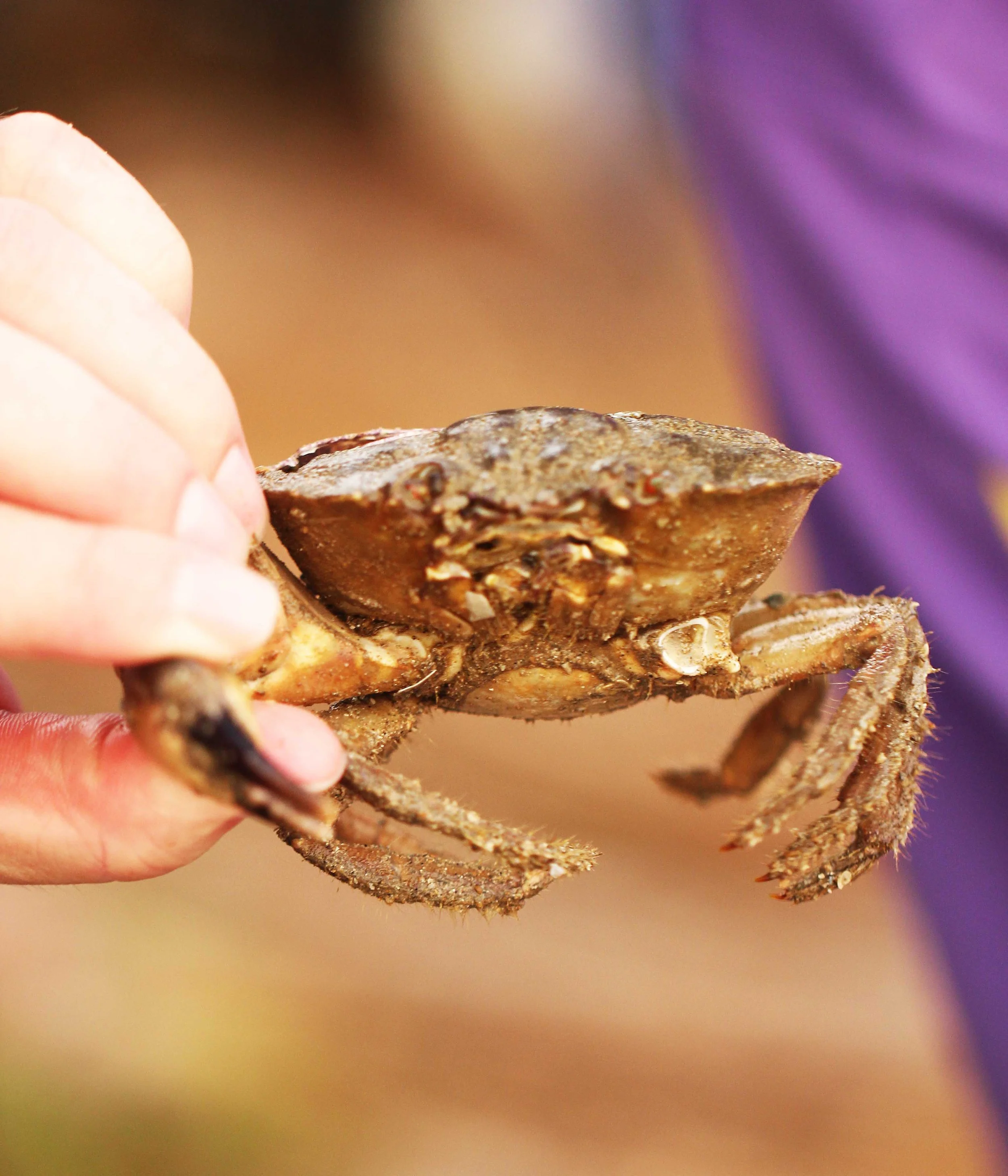 2015 Koh Lanta Songkran with friends from ISB (706).JPG