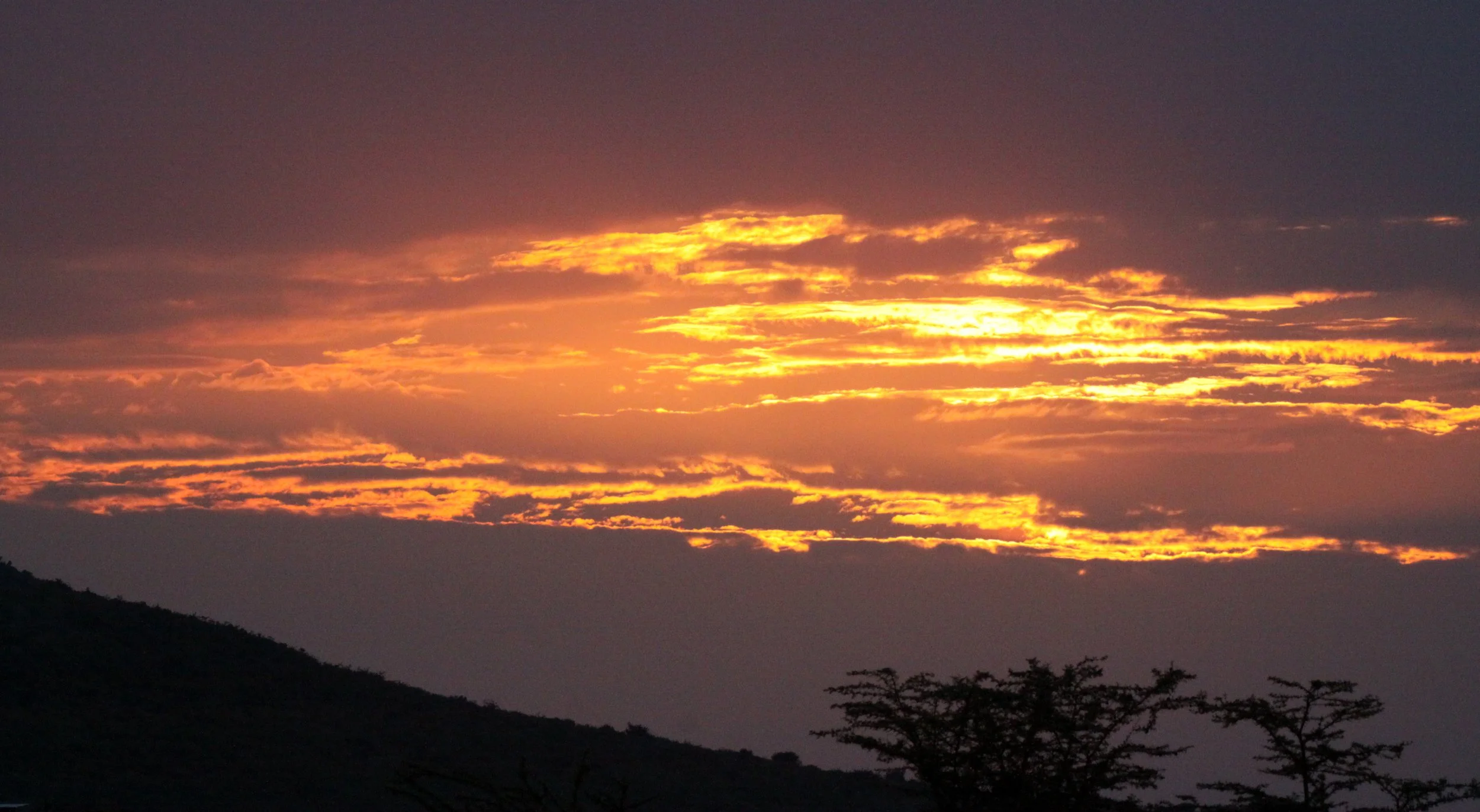 MASAI MARA NATIONAL PARK KENYA (230).JPG