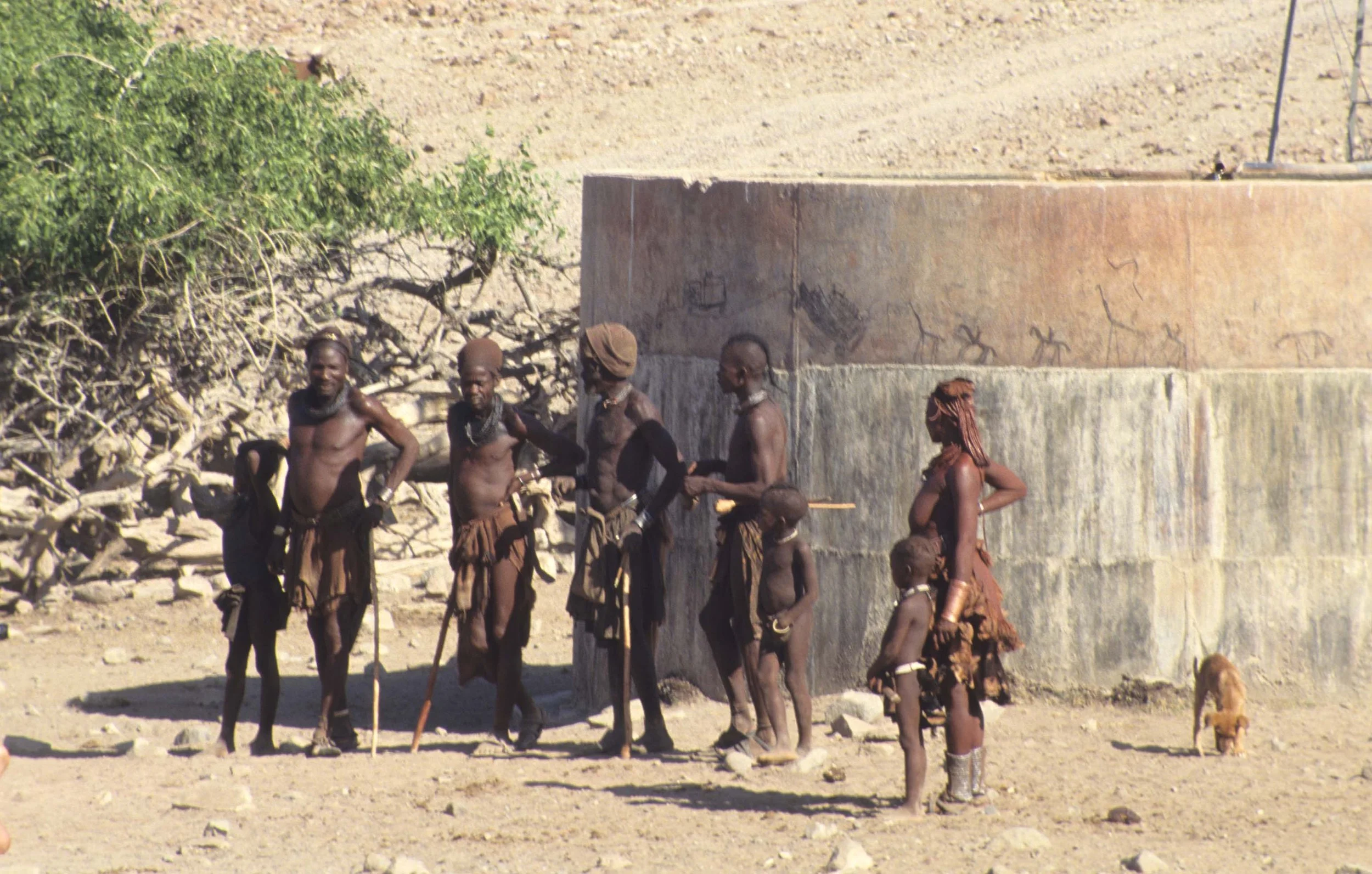 NAMIB DESERT BUSH 1.jpg