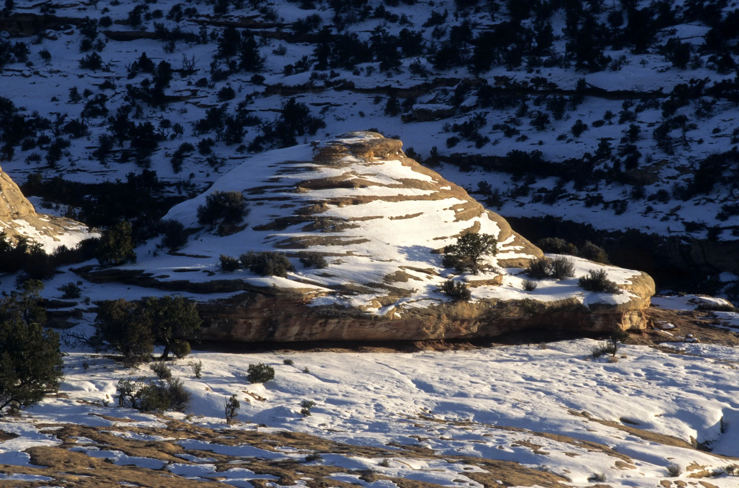 UTAH - NATURAL BRIDGES NM F.jpg