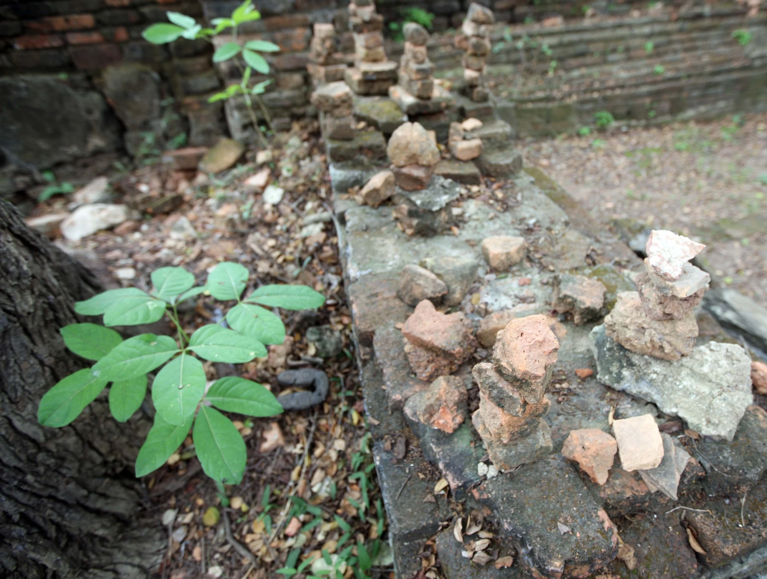 AYUTTHAYA - PASSION DAY - SOM (140).JPG