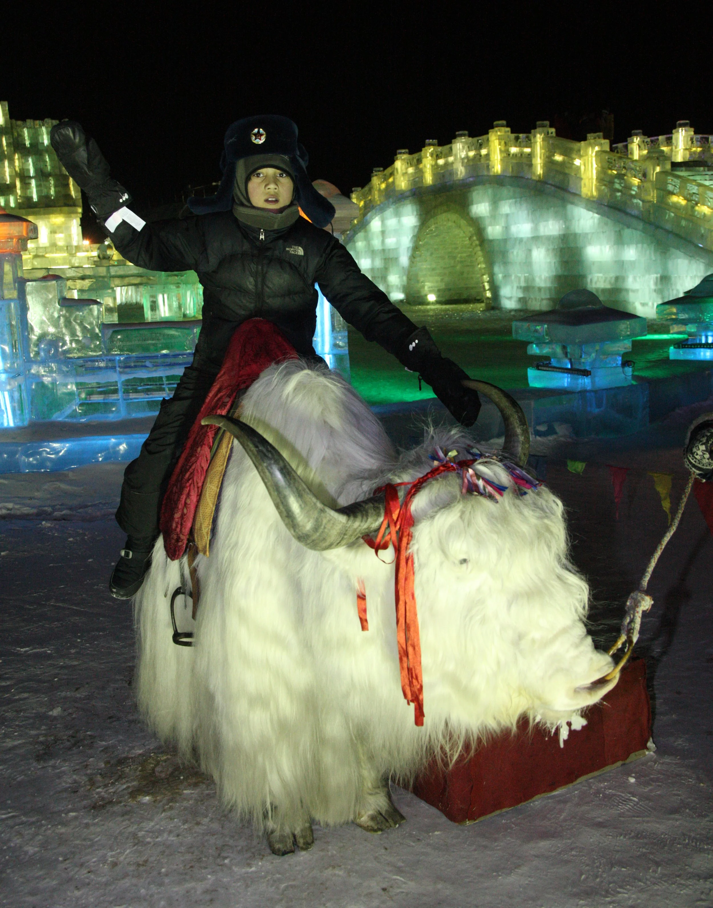 HARBIN ICE & SNOW FESTIVAL FEBRUARY 2012 (91).JPG