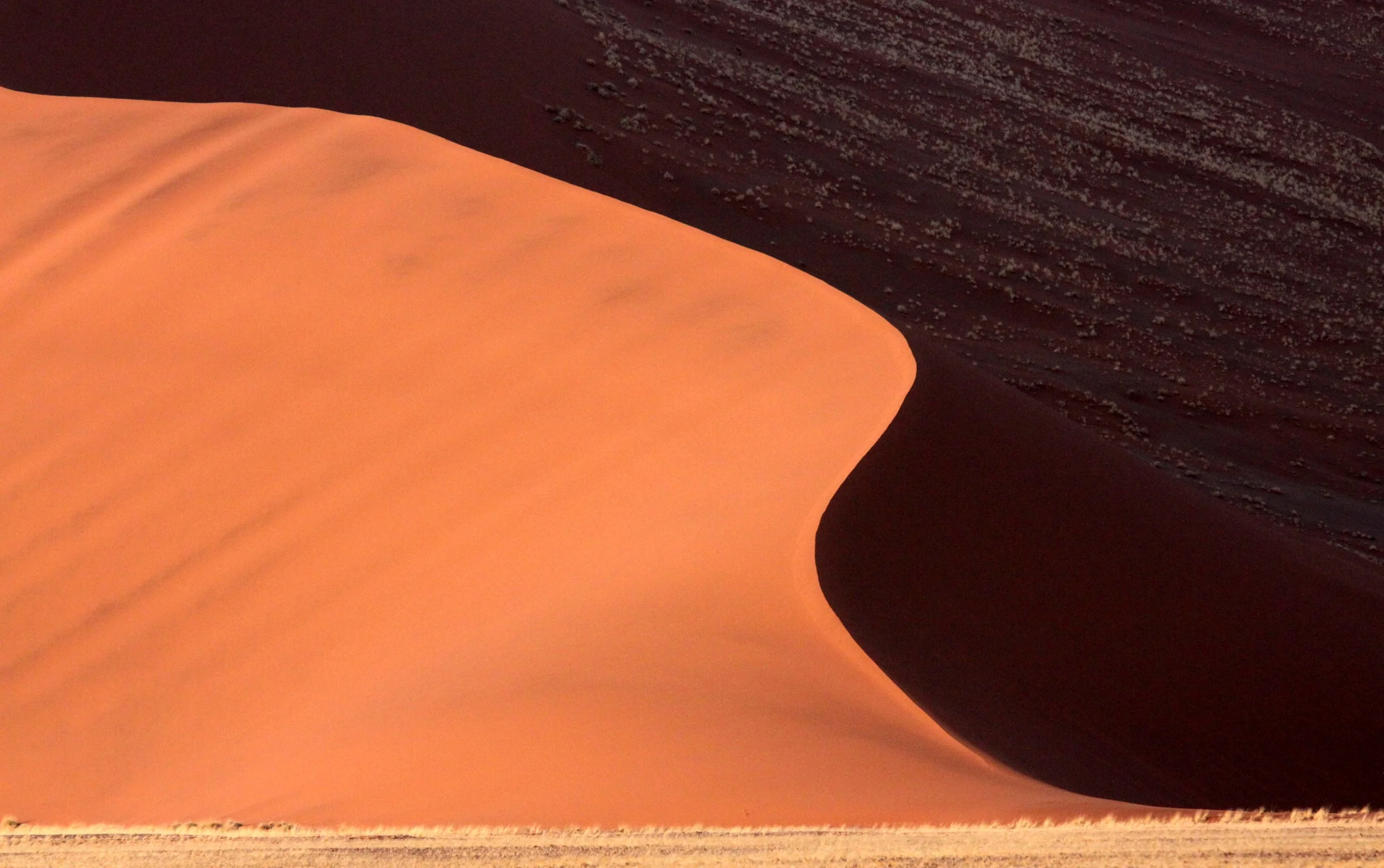 SOSSUSVLEI, NAMIB NAUKLUFT NATIONAL PARK, NAMIBIA (21).JPG