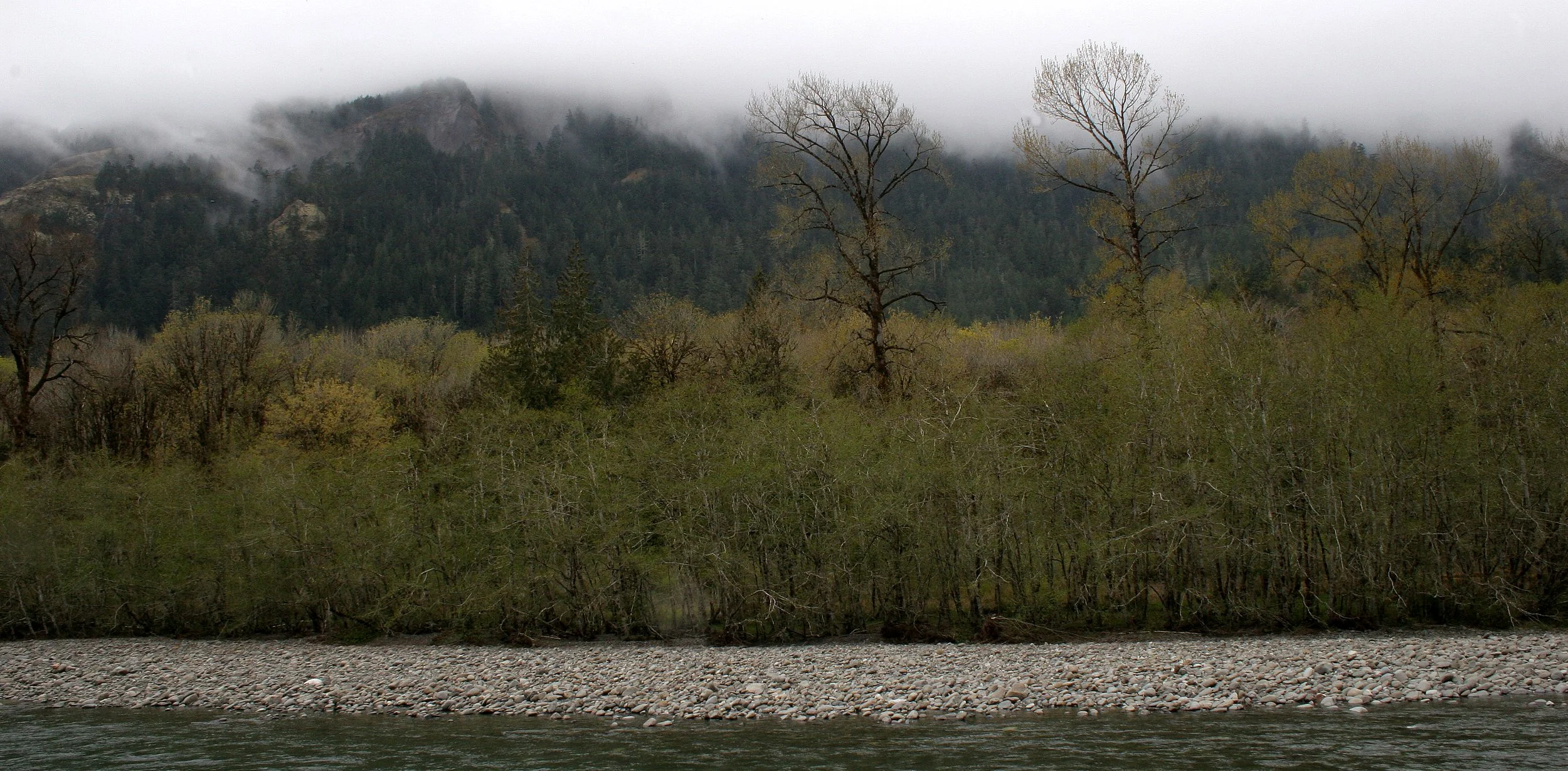 ELWHA RIVER WATERSHED (2).JPG