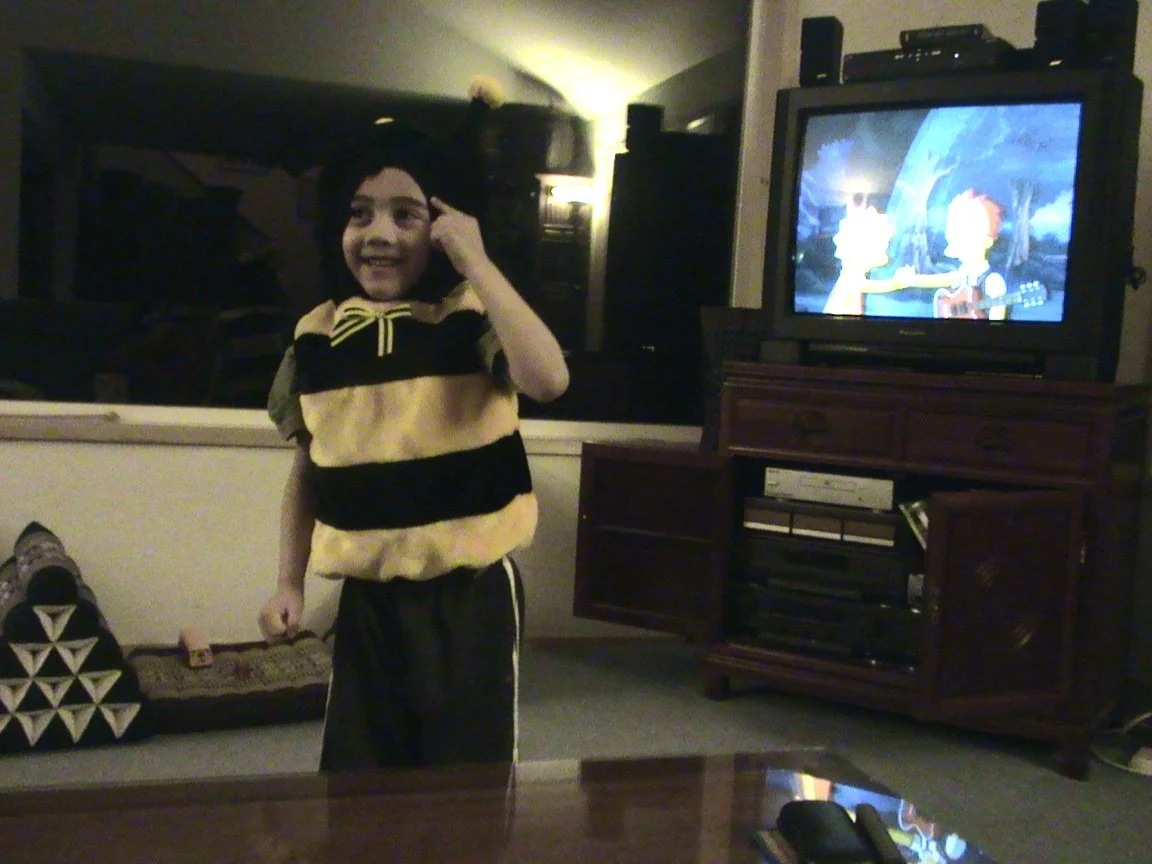 2008-2-21 COKIE AS A BEE (2).JPG