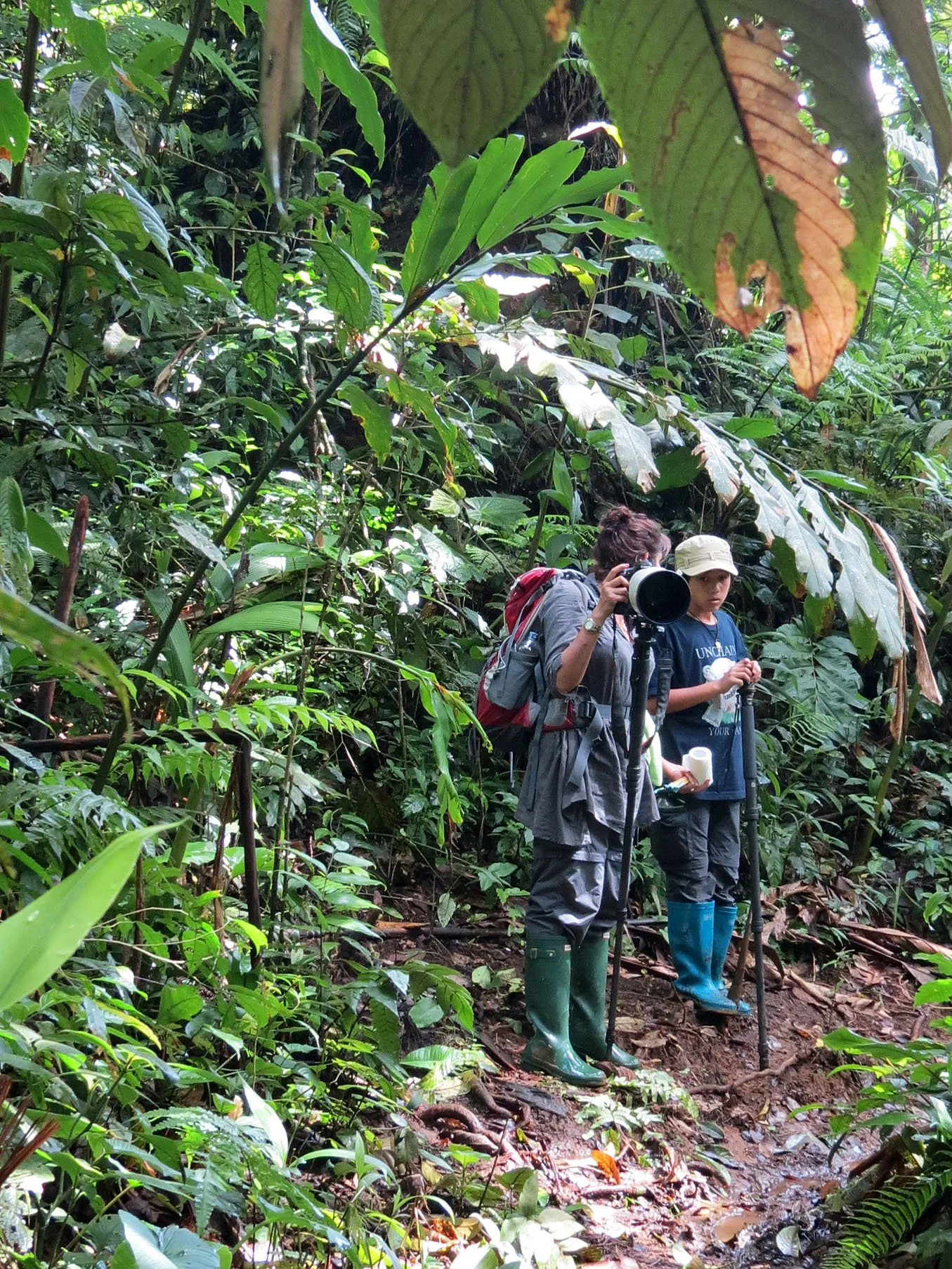 HALIMUN  NATIONAL PARK - JAVA BARAT INDONESIA (12).JPG