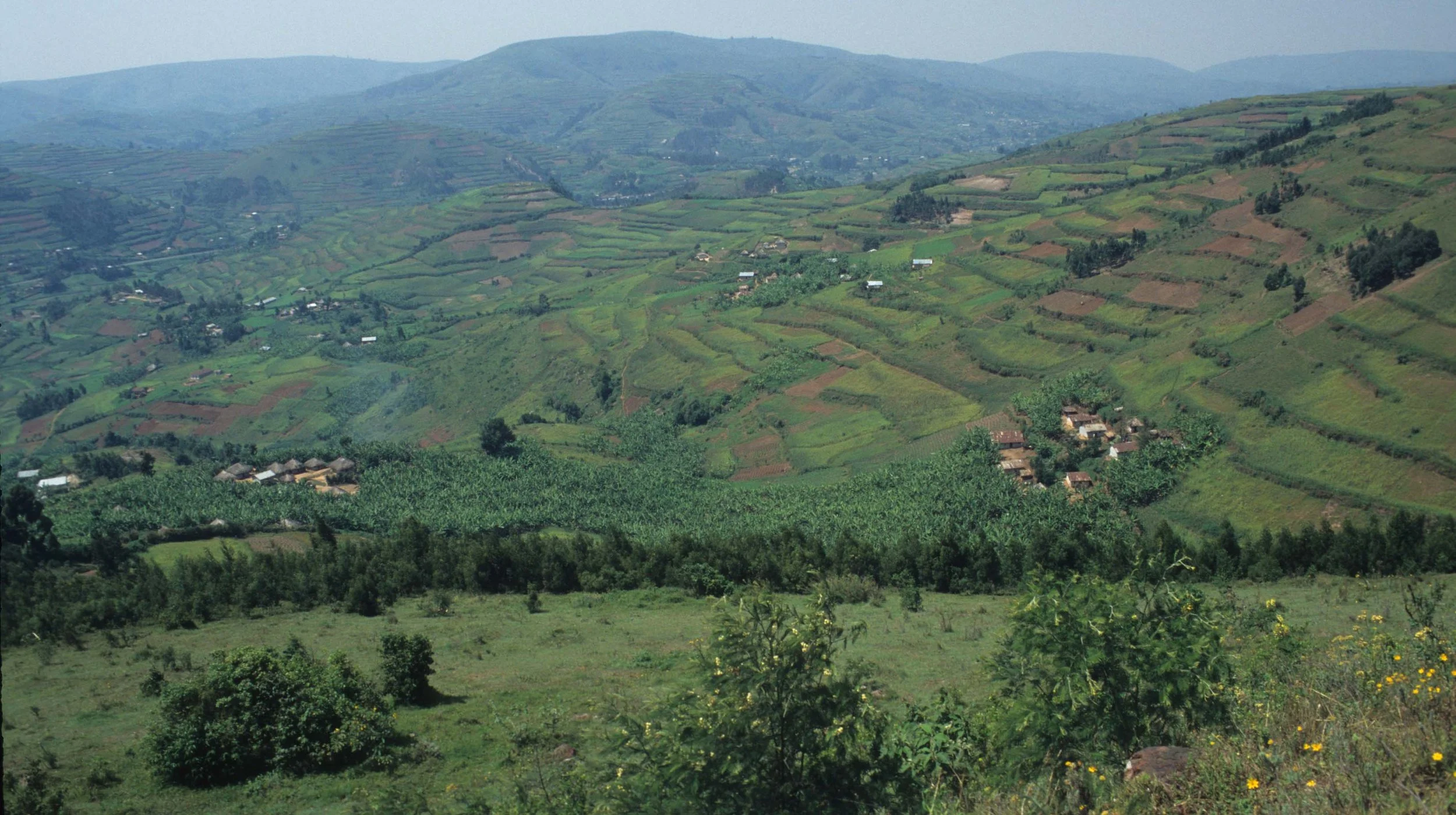 RWANDA COUNTRYSIDE 3.jpg