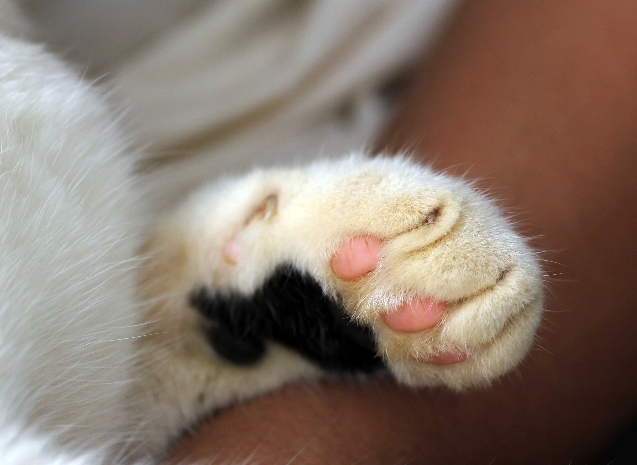 2015 Koh Lanta Songkran with friends from ISB (396).JPG