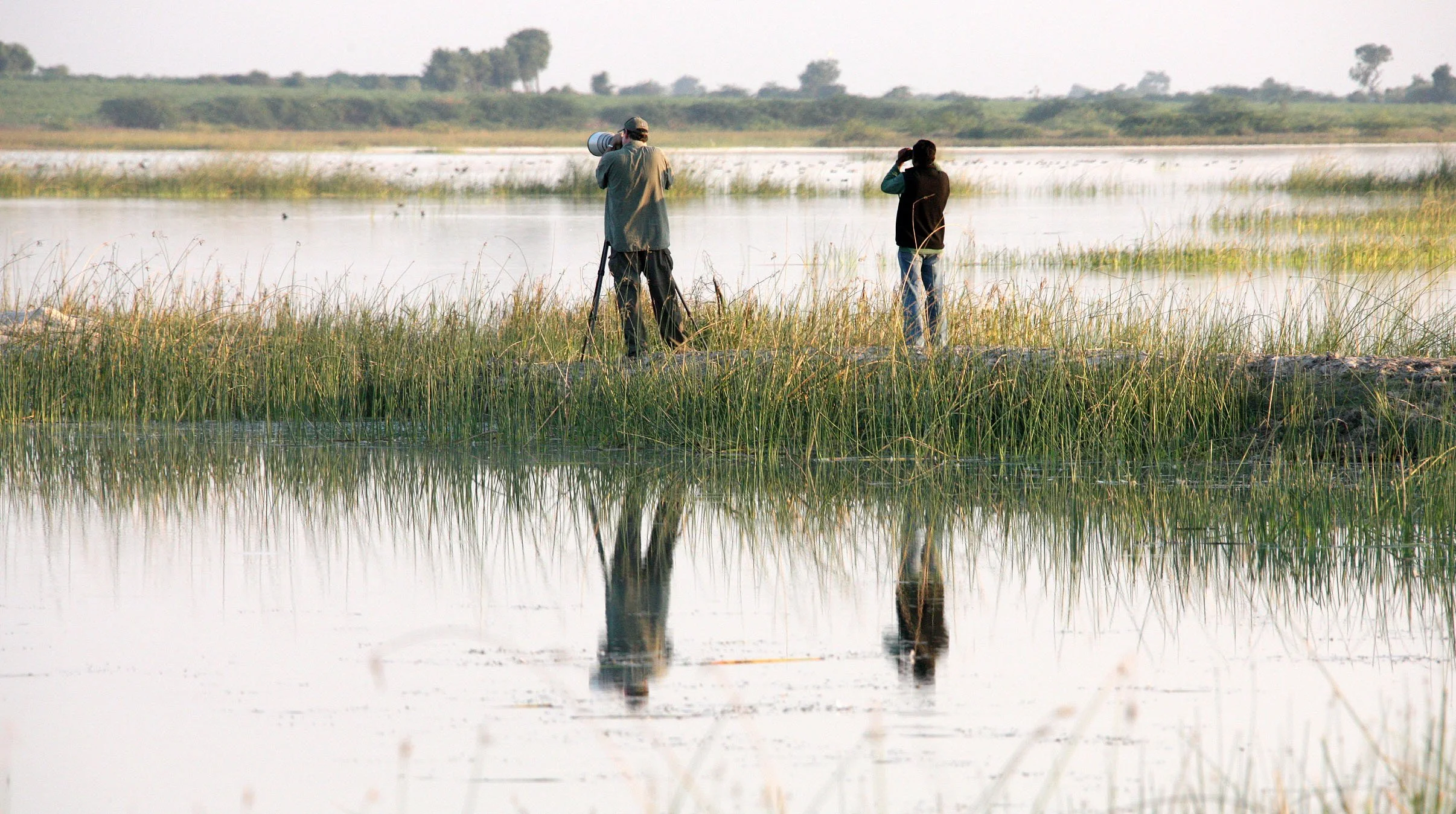 GUJARAT - KUTCH - LITTLE RANN OF KUTCH INDIA (5).JPG