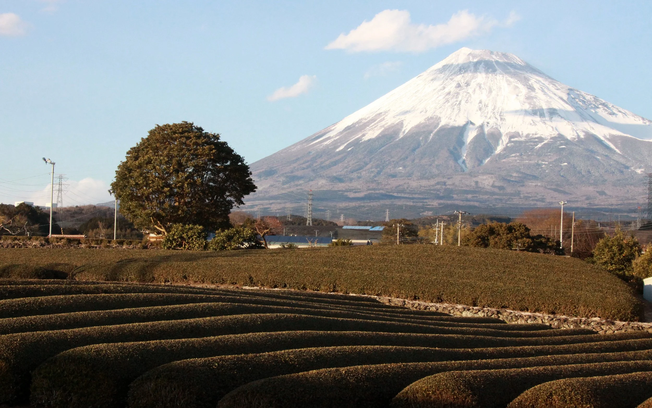MOUNT FUJY - AS SEEN FROM FUJI CITY JAPAN (2).JPG