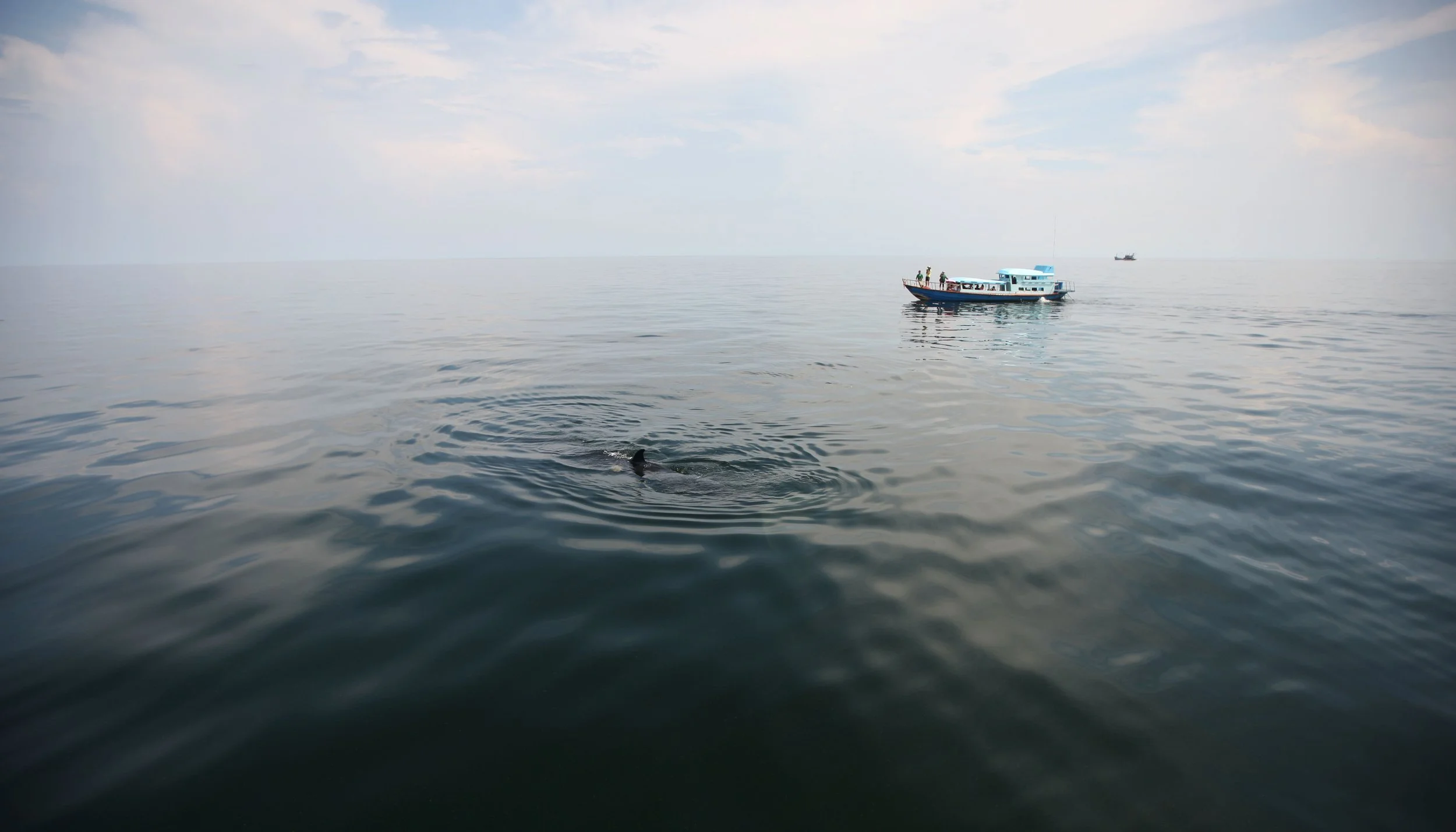 2014 Amphawa Trip to See Whales from Baan Taboon (53).JPG