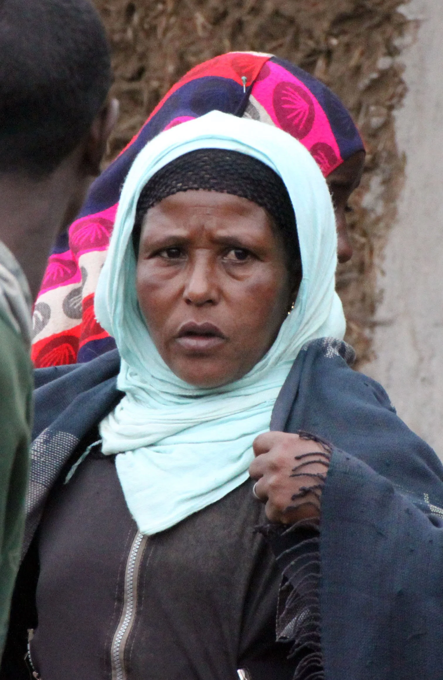 BALE MOUNTAINS NATIONAL PARK ETHIOPIA - HARRENA FOREST (8).JPG