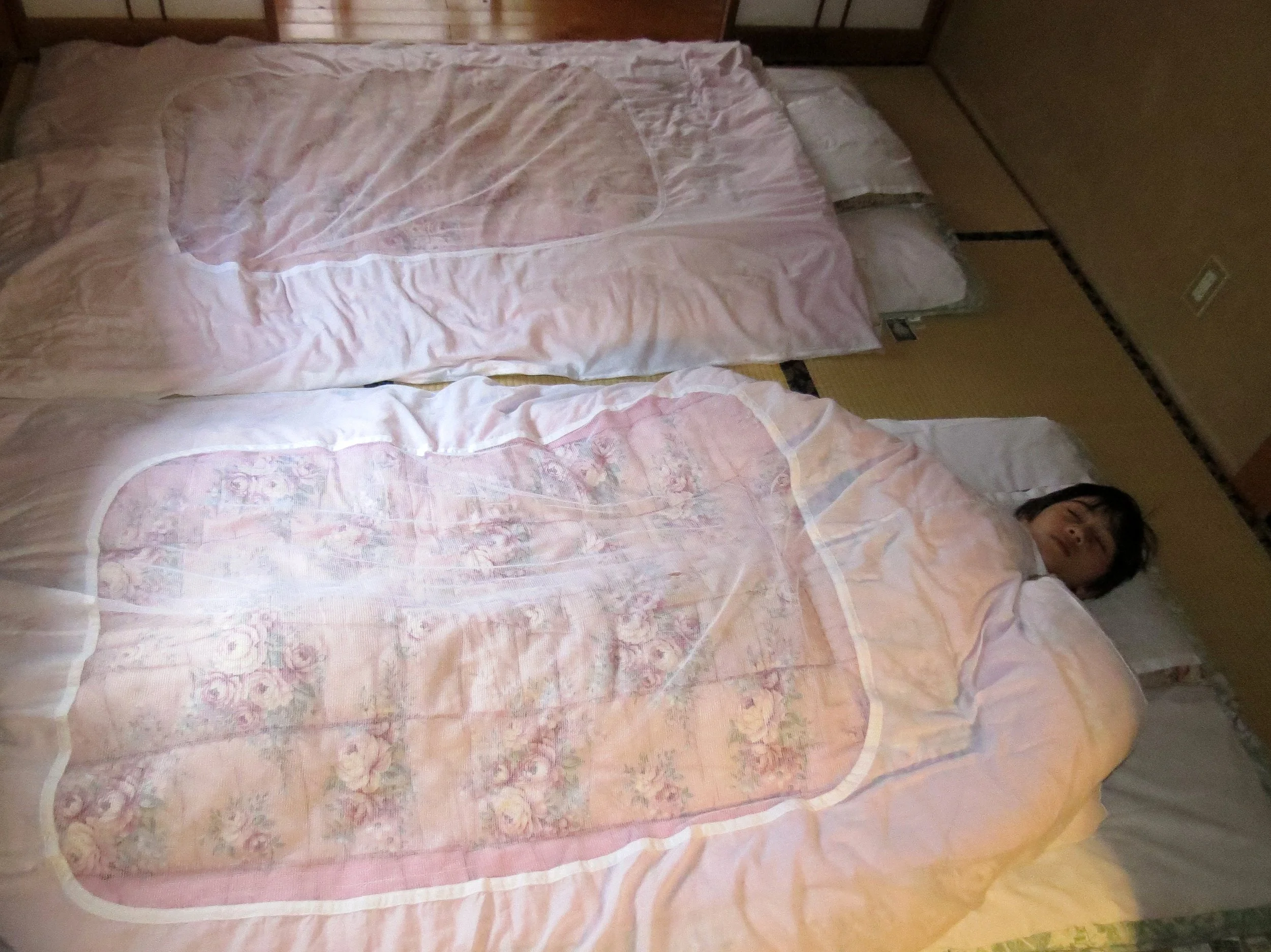 JIGOKUDANI ONSEN - KORAKUKAN RYOKAN - NAGANO PREFECTURE JAPAN (6).JPG