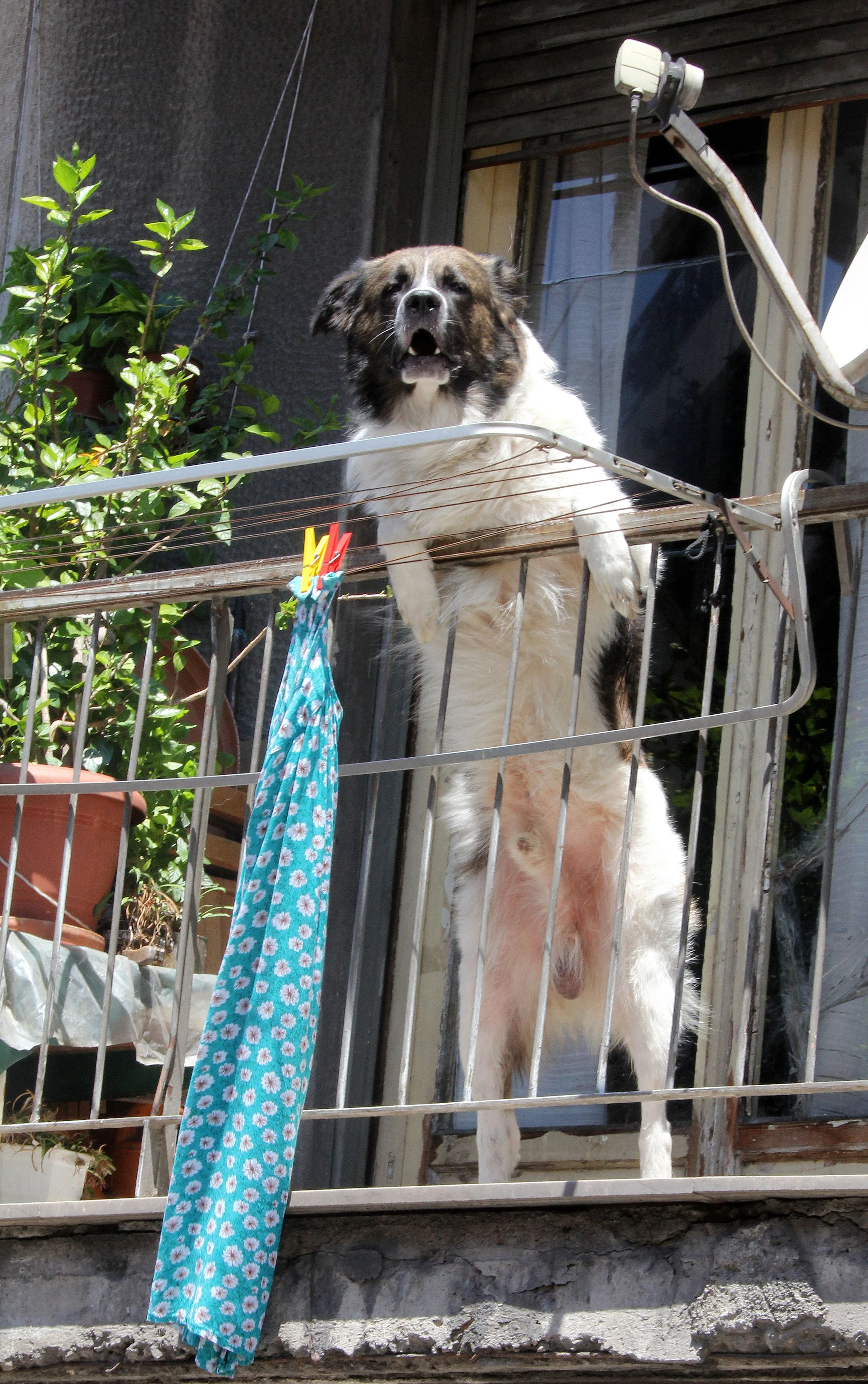 ATHENS GREECE - JUNE 2013 (44).JPG