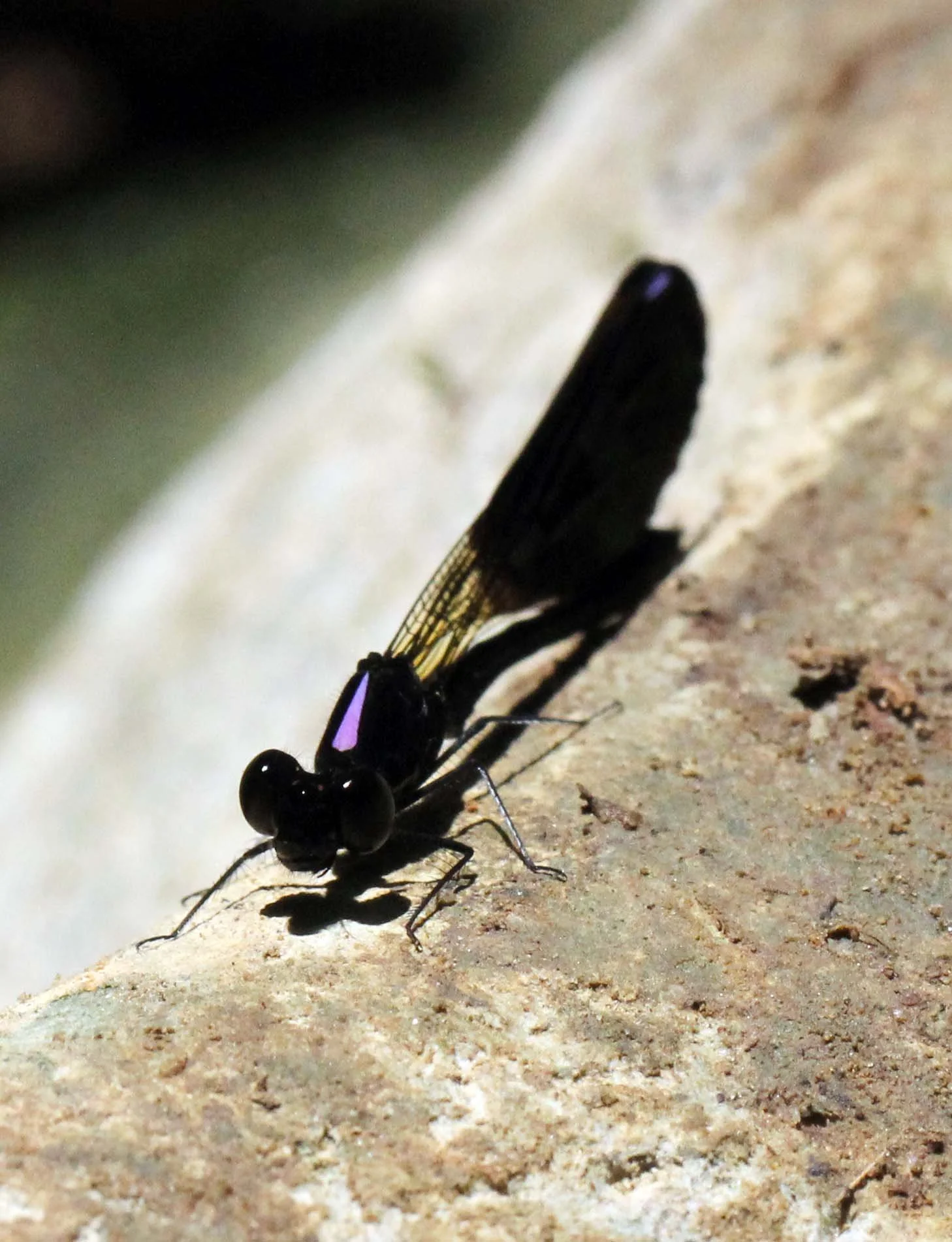 Nam Tha Lu Cave, Khao Sok, Thailand