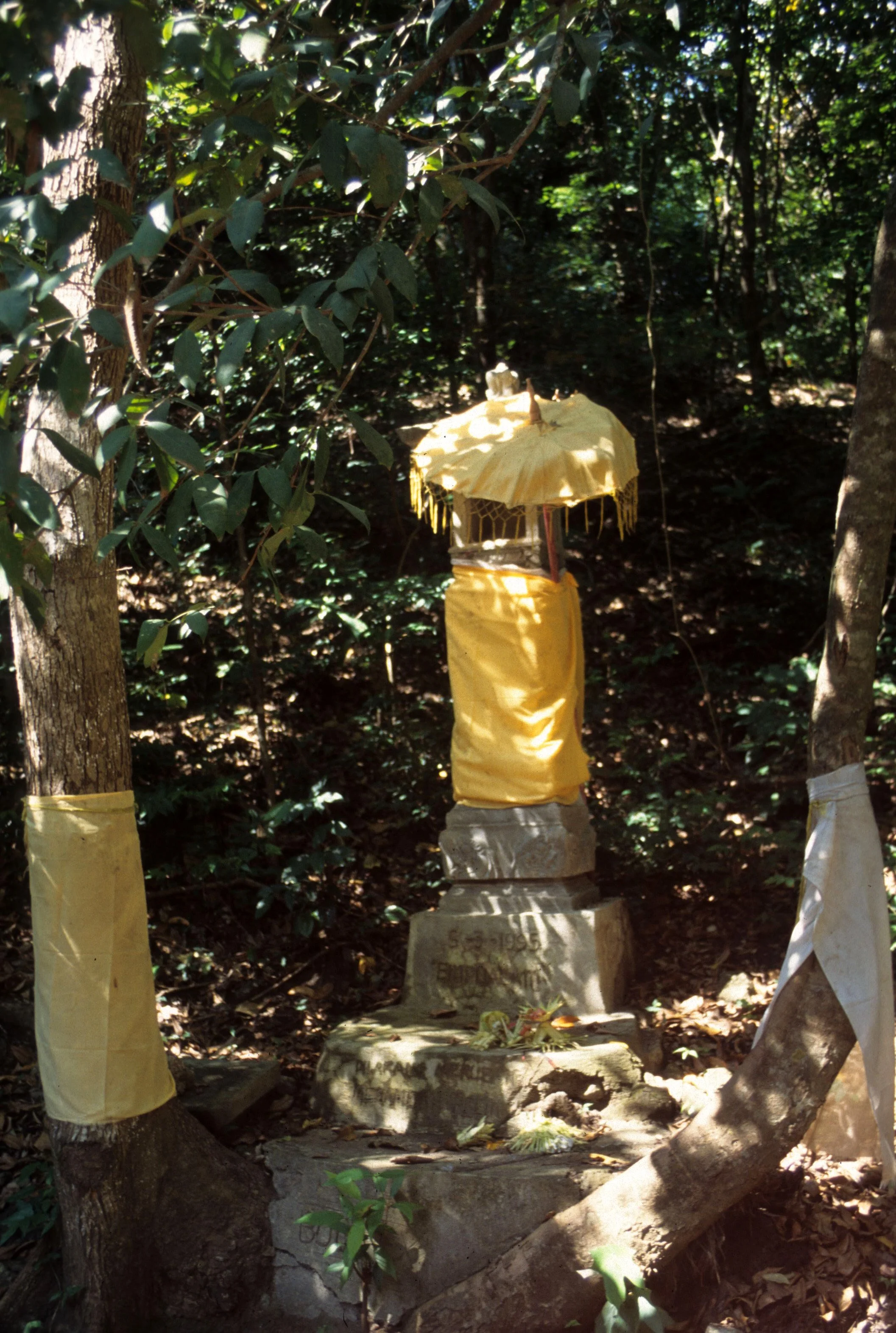 BALI - BALI BARAT NP - SHRINE ON OUTSKIRTS.jpg