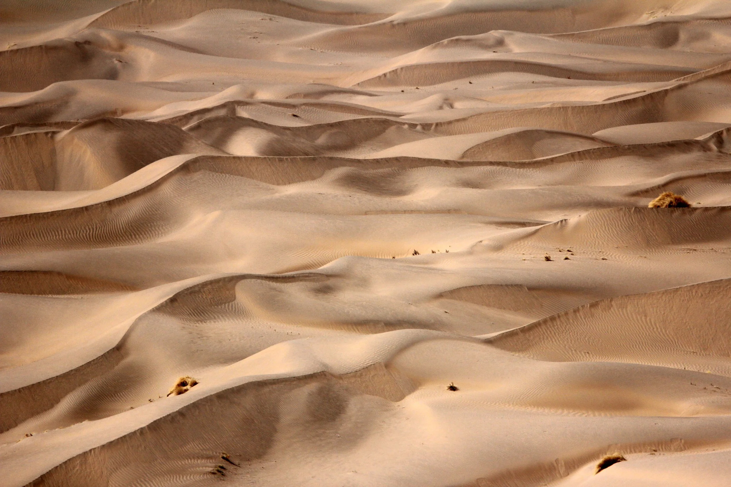 GANSU - DUNES SOUTH OF DUNHUANG - CHINA (24).JPG