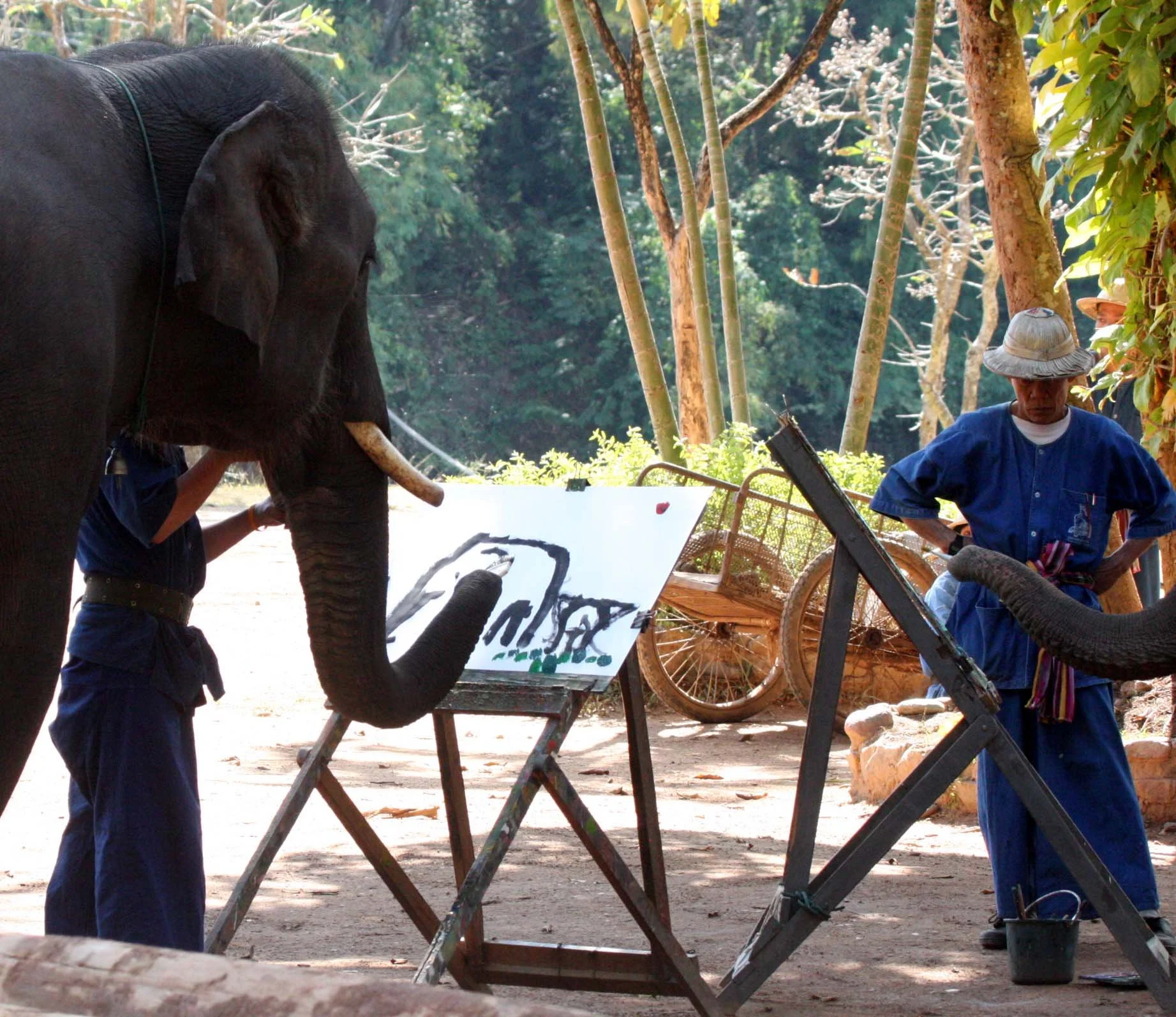 2008 Lampang City & Elephant Center (47).JPG