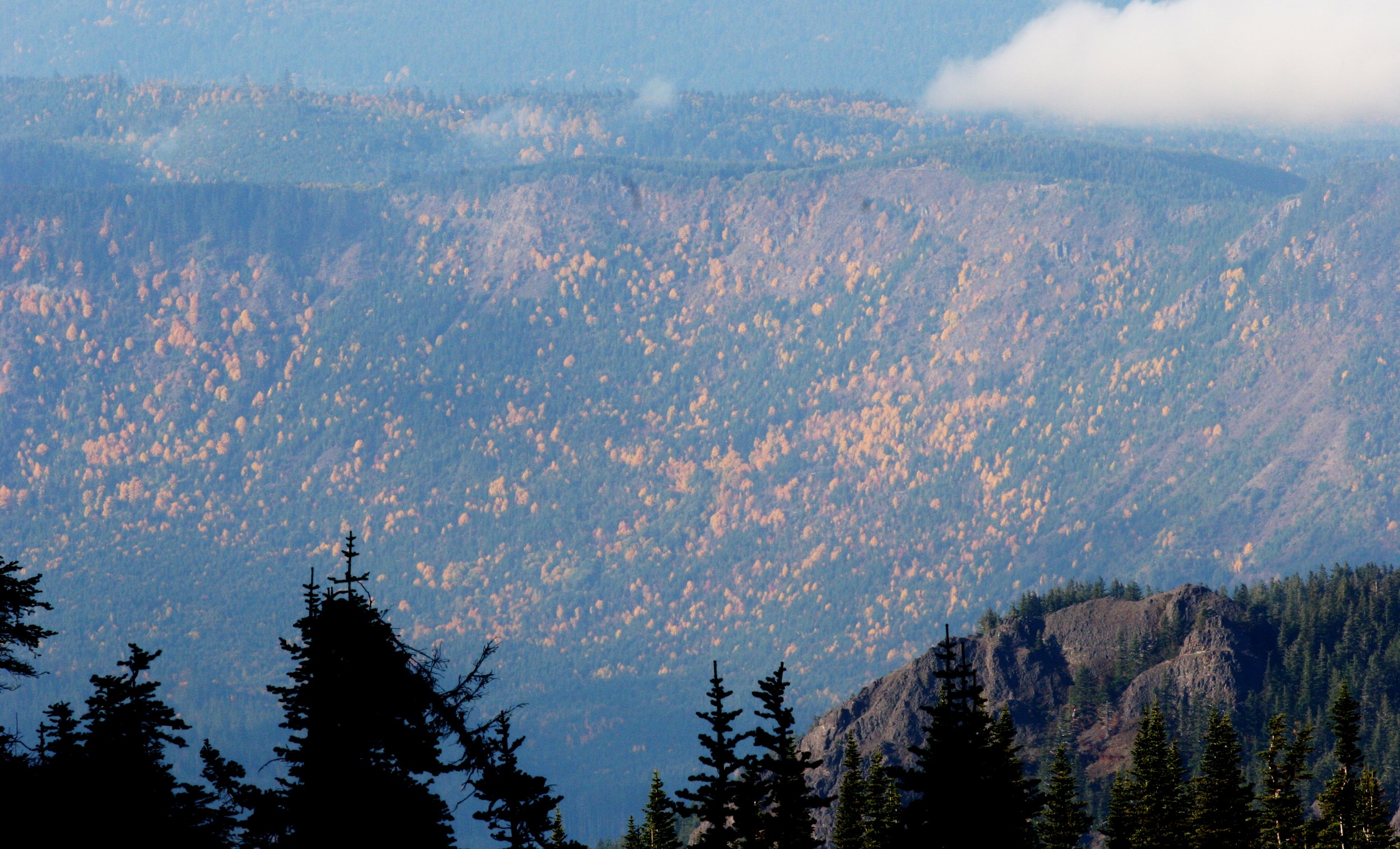 ELWHA RIVER VALLEY - FALL COLORS.JPG