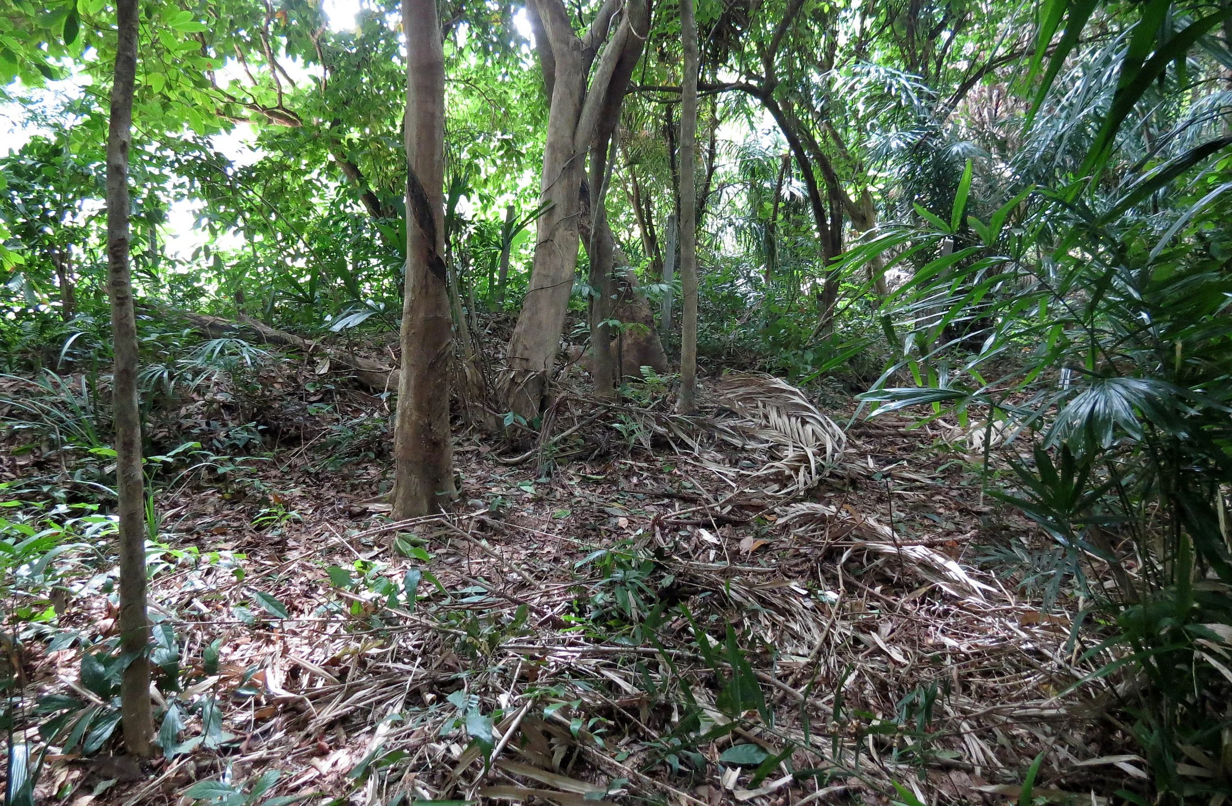 2014 Koh Lanta Build (102).JPG