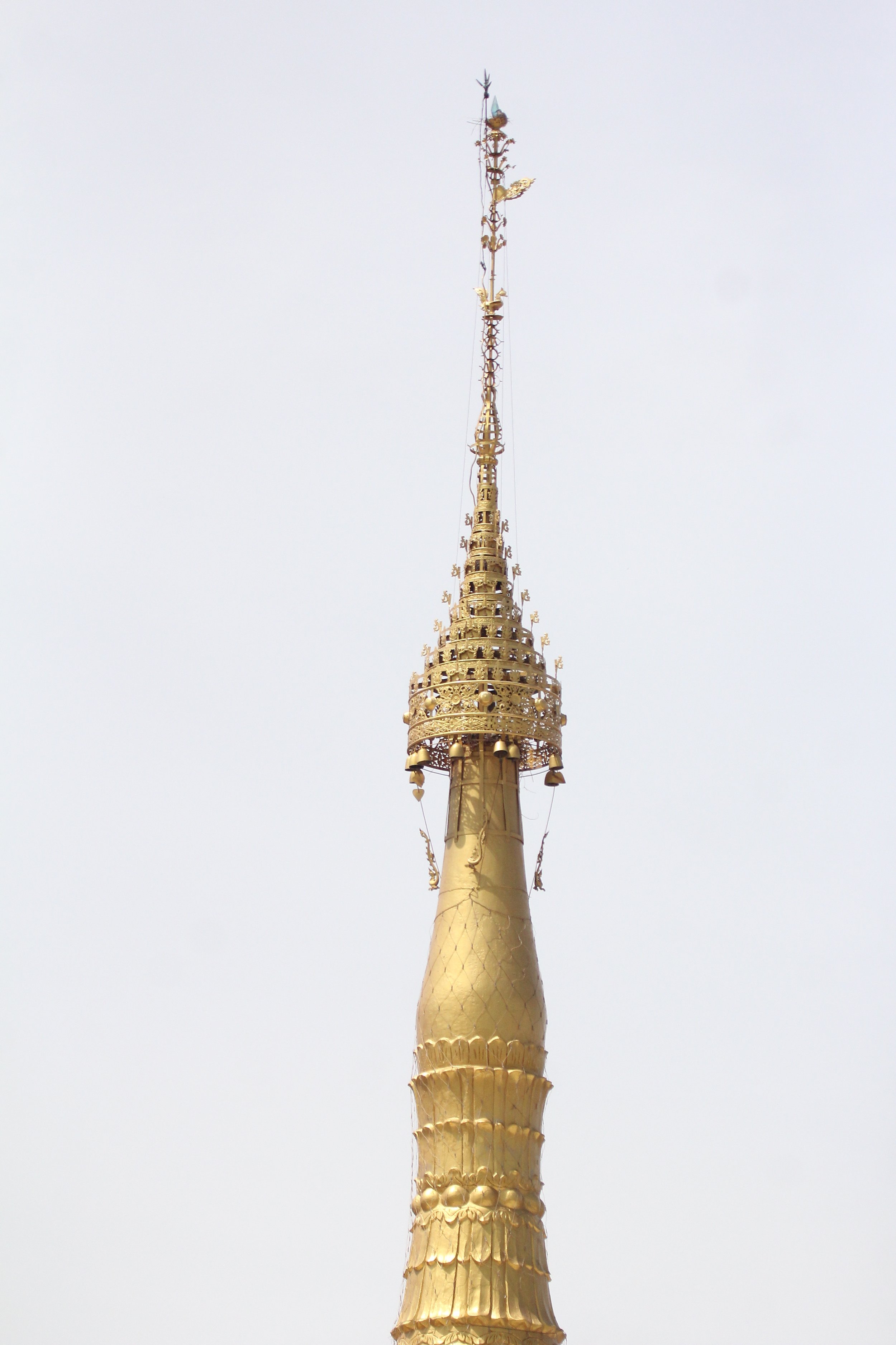 2020 Petchaburi Day Trip to Drop Off Pea & Pete (258).JPG