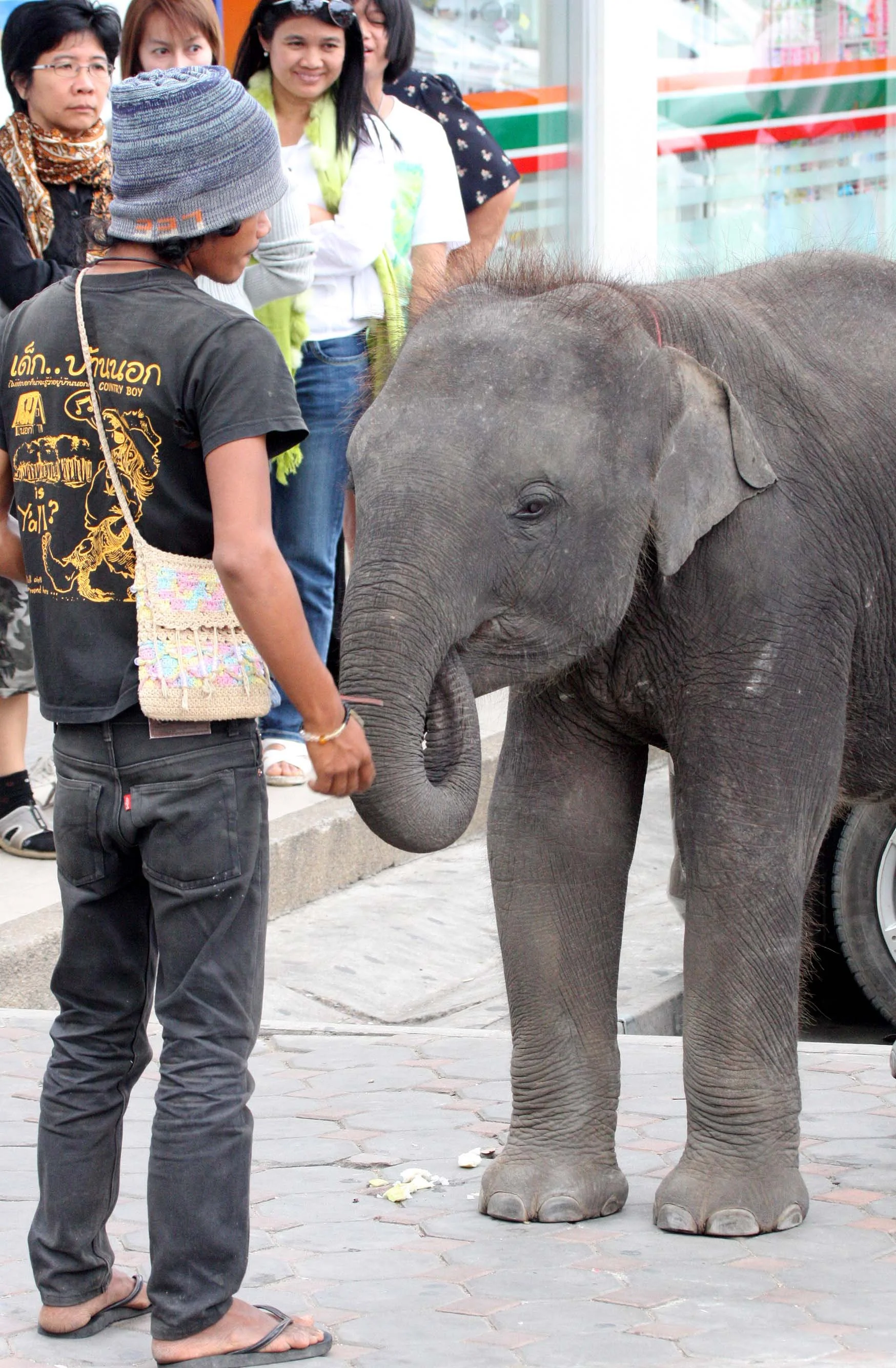 2008 - 2009 Nakhonsithammarat Christmas in Thailand Trip (7).JPG