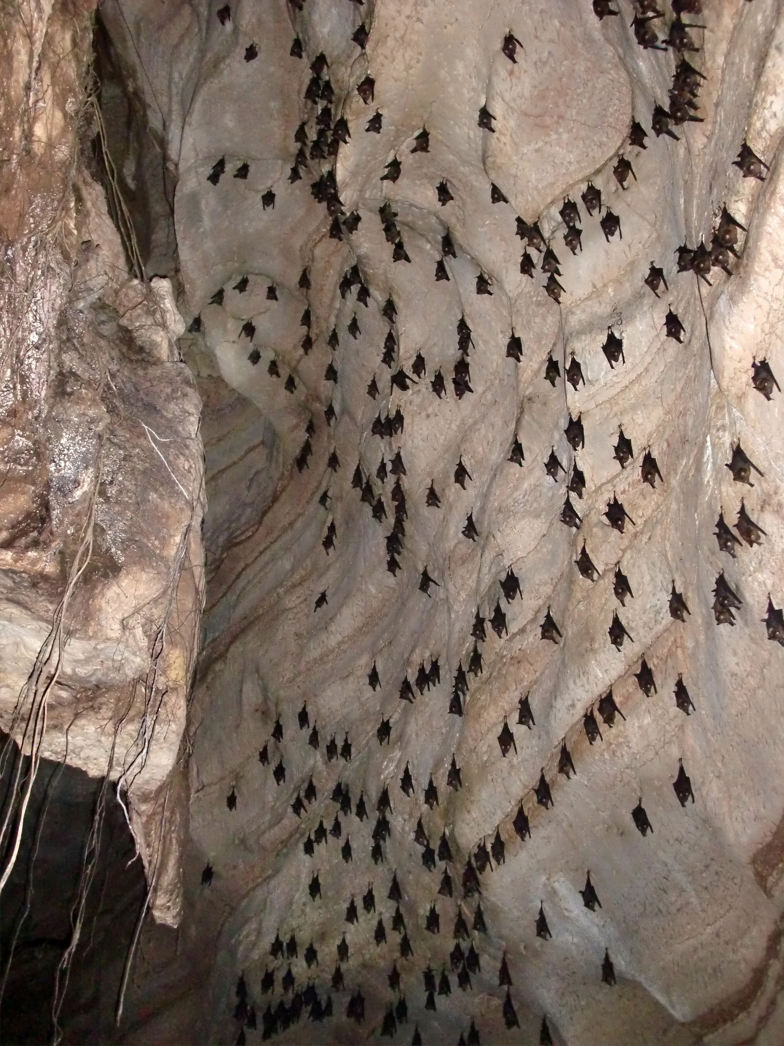 LANTA ISLAND - WINTER 2011 (20).JPG