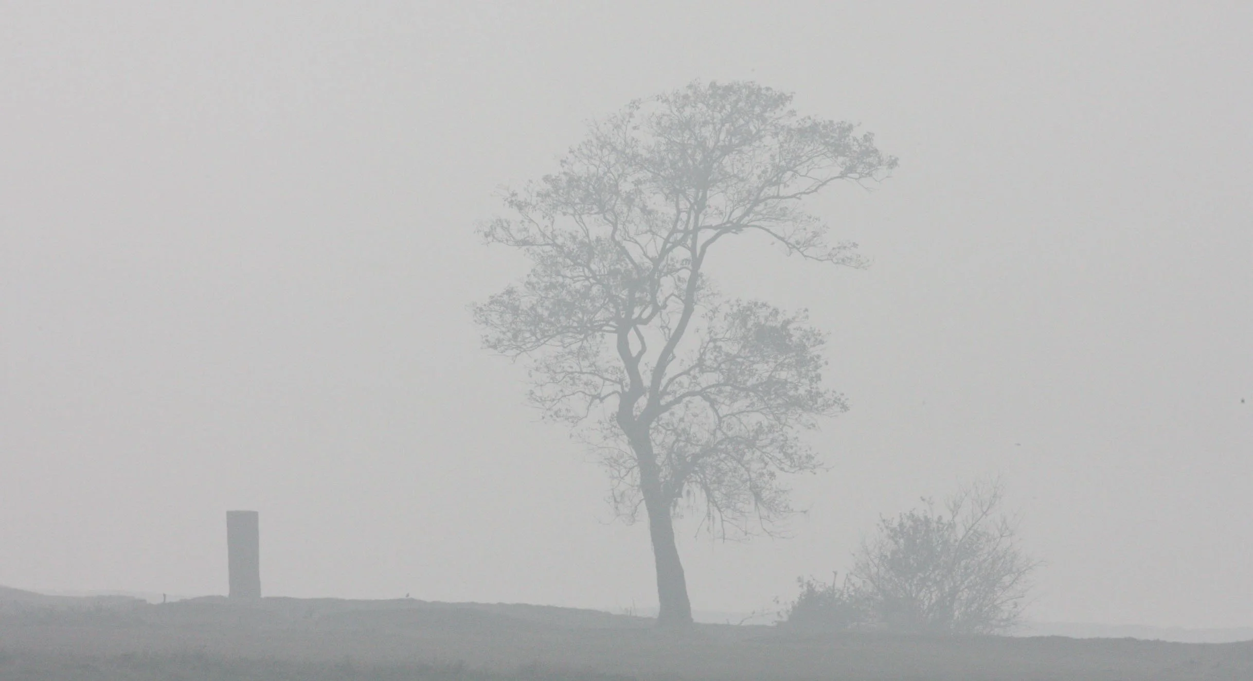 POYANG LAKE NATURE RESERVE - POYANG LAKE, JIANGXI PROVINCE, CHINA (28).JPG