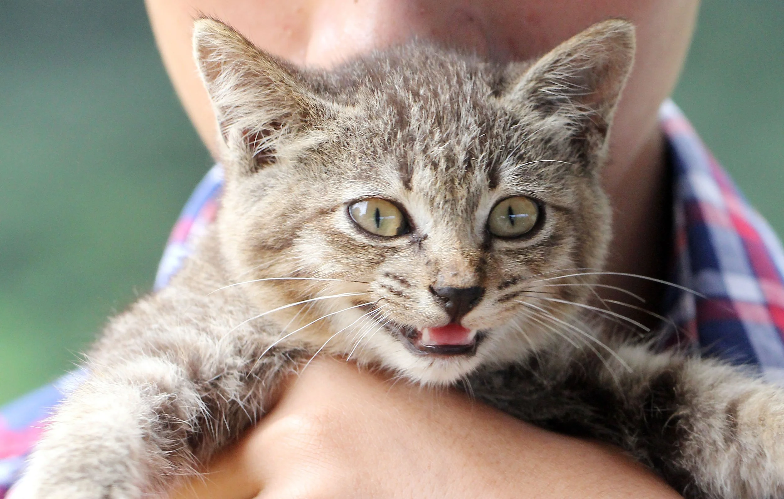 2015 Koh Lanta October Break Trip  (257).jpg