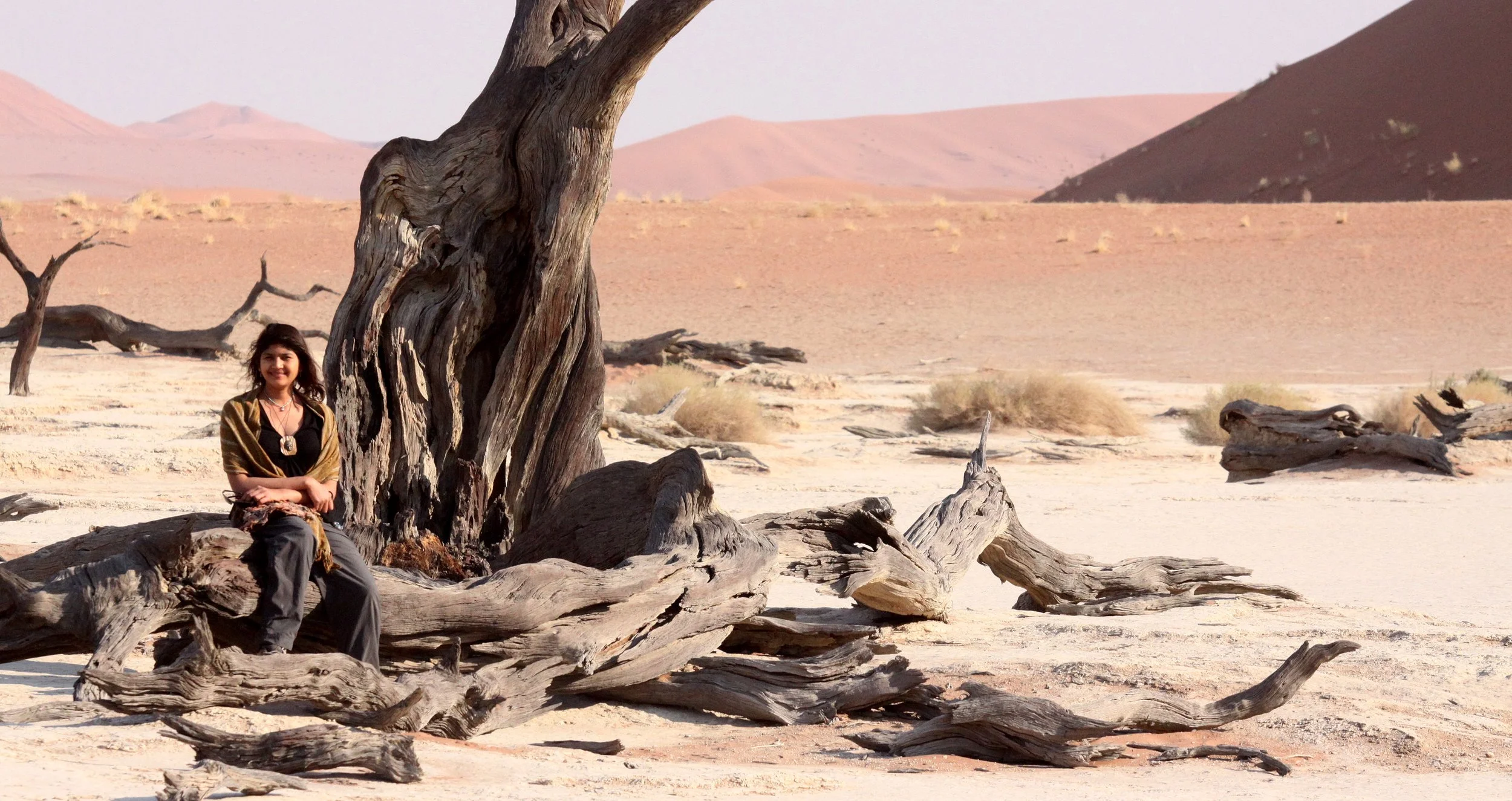 SOSSUSVLEI, NAMIB NAUKLUFT NATIONAL PARK, NAMIBIA - DEAD VLEI (37).JPG